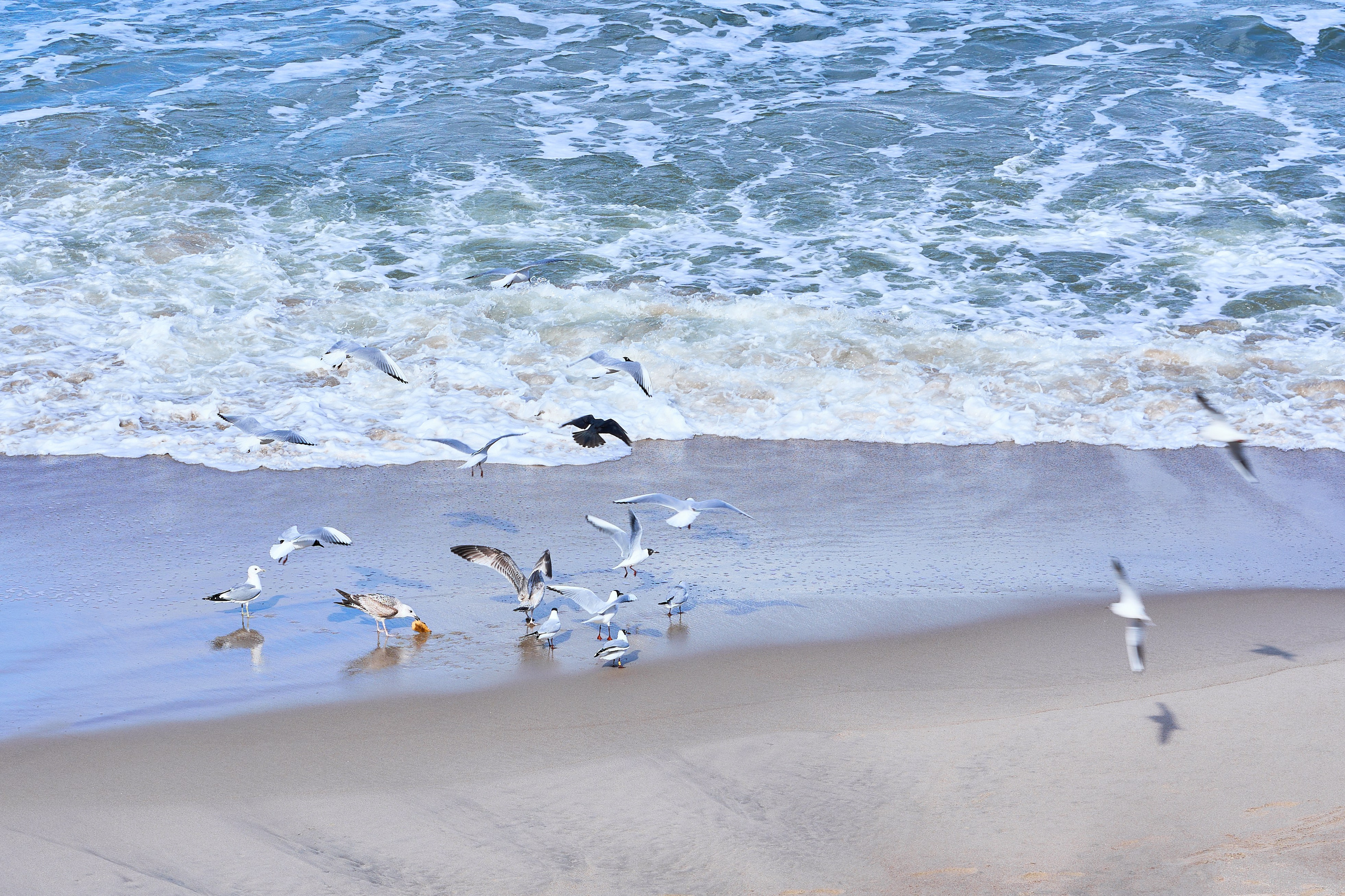 Зеленоградск. Фотограф в Москве Анастасия Баева