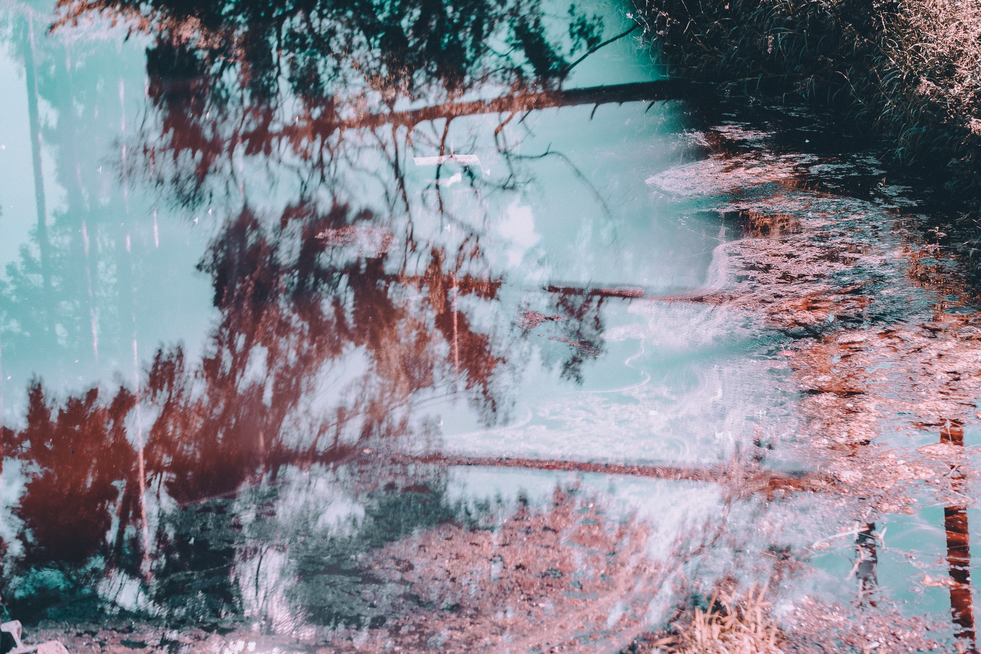 Кедрова Алёна. ARTEXPOPHOTO