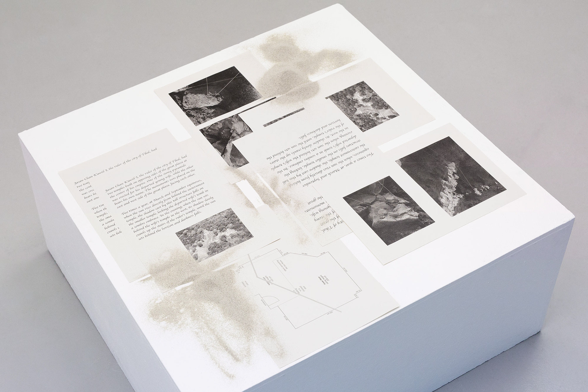 Стоимость, опции и программа школы Walking art