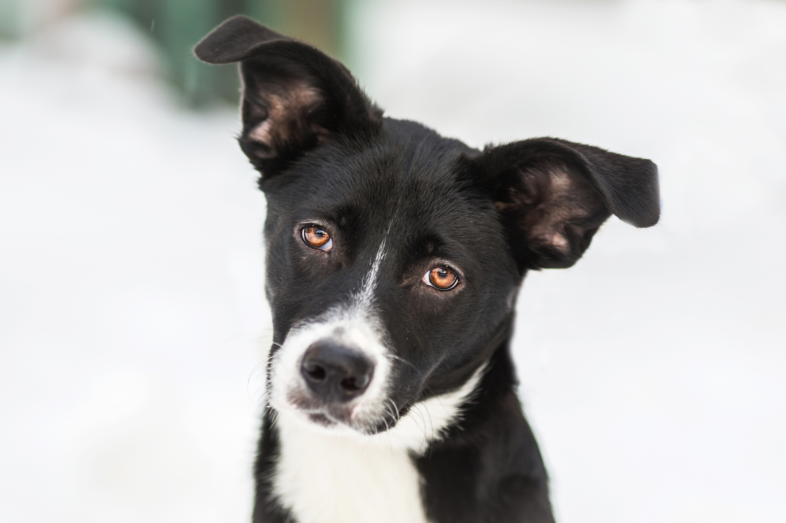 УСЛУГИ и ЦЕНЫ. Фотограф в Твери и Москве Юлия Бахтамова