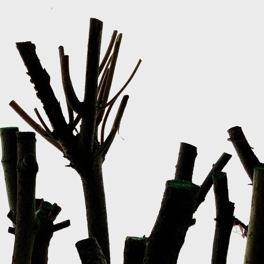 Объекты. Художник Рыбак Николай