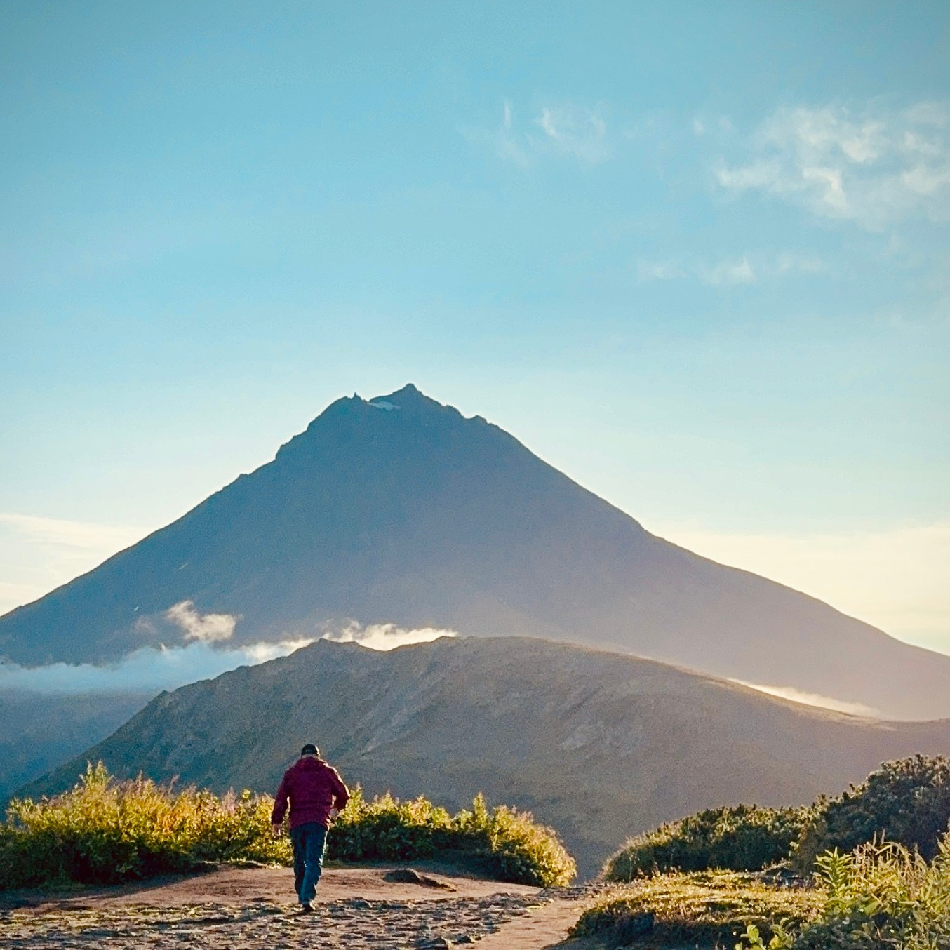Контакты. Фотограф дикой природы Роман Исаенков