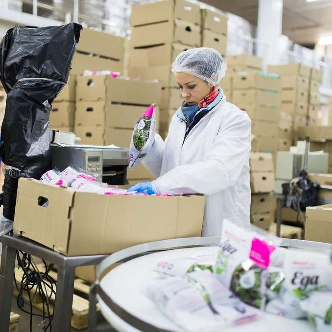 Александр Падежов — фотограф в Москве | Репортаж, бизнес, студия, свадьбы, семья