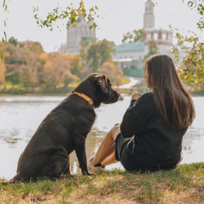 Reviews. Natalia Finch Photography — family and pets photography in Chicago, IL