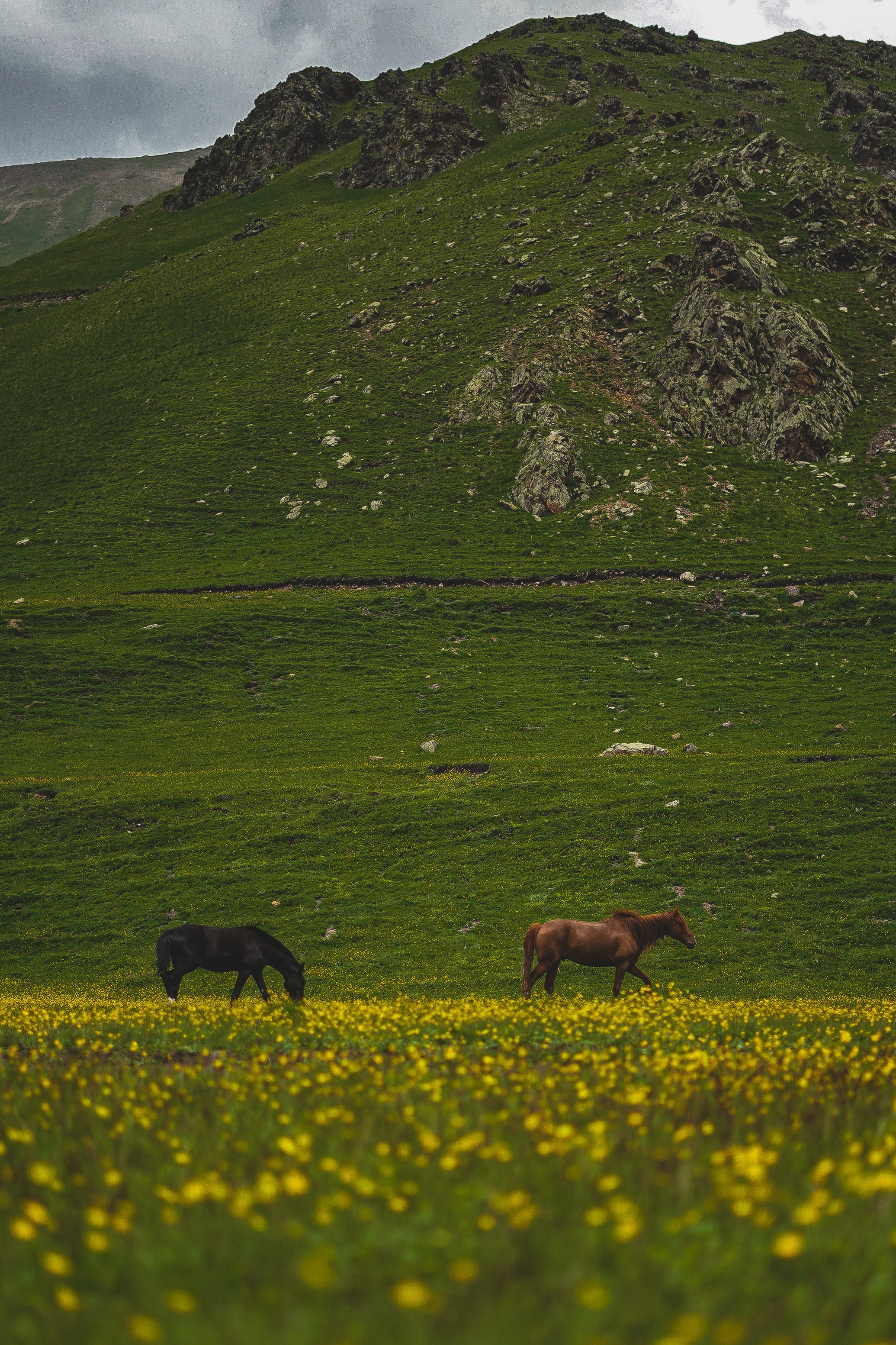 Треккинговые маршруты в Приэльбрусье. Фотограф Ольга Пучкова