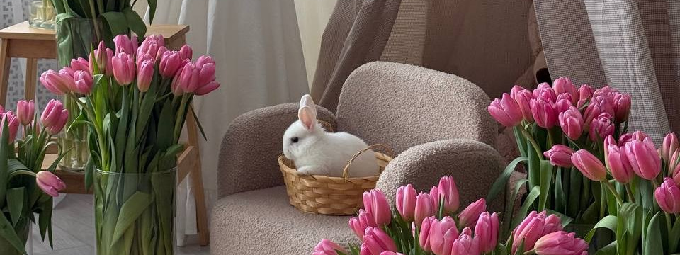 Живые цветы!. Фотостудия LIGHT в Люберцах