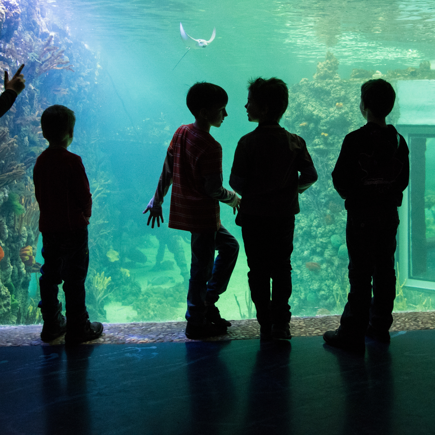 Фотография для жизни от Елены Чихичиной