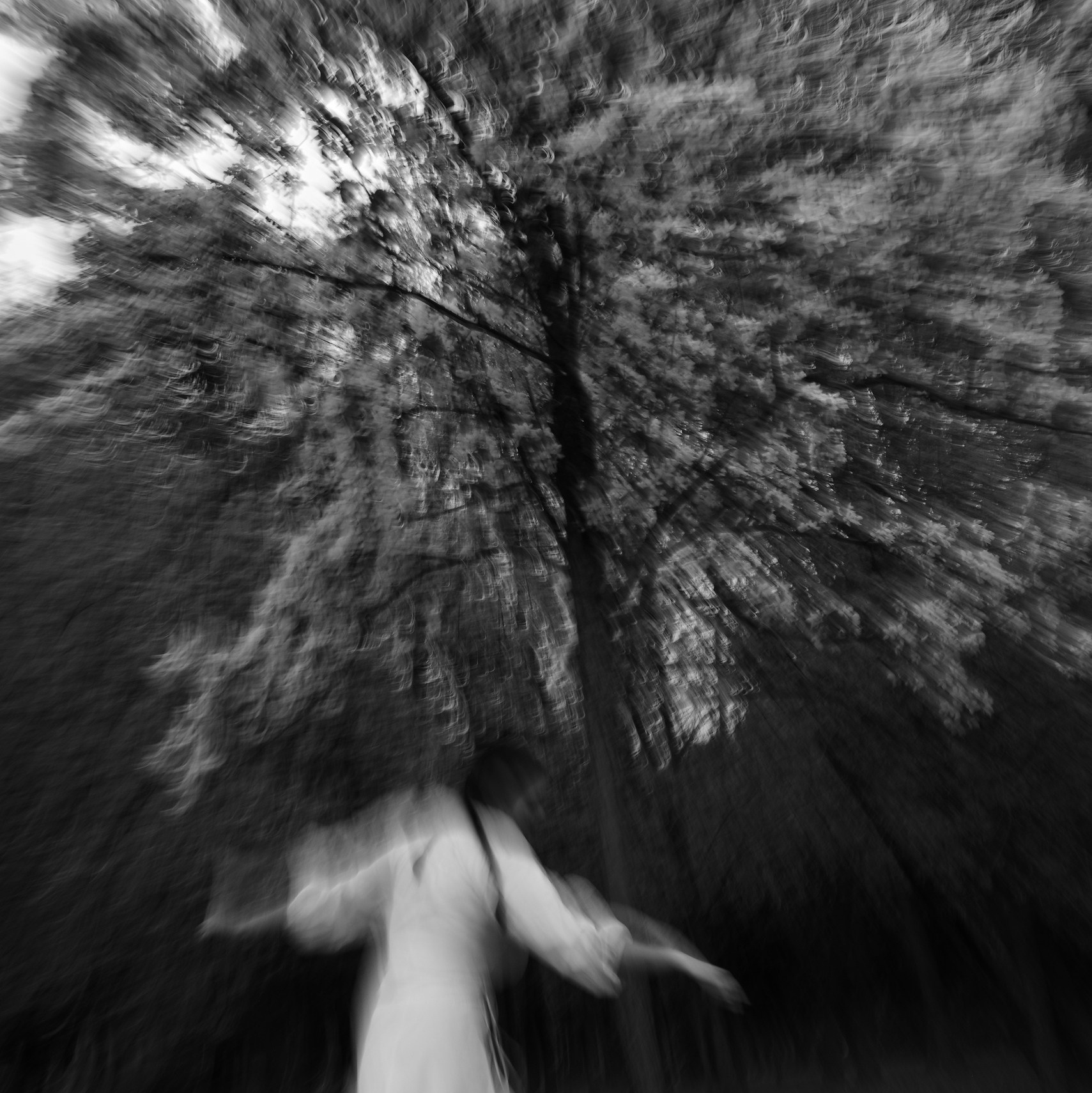 Серии и Проекты. Катерина Михеева