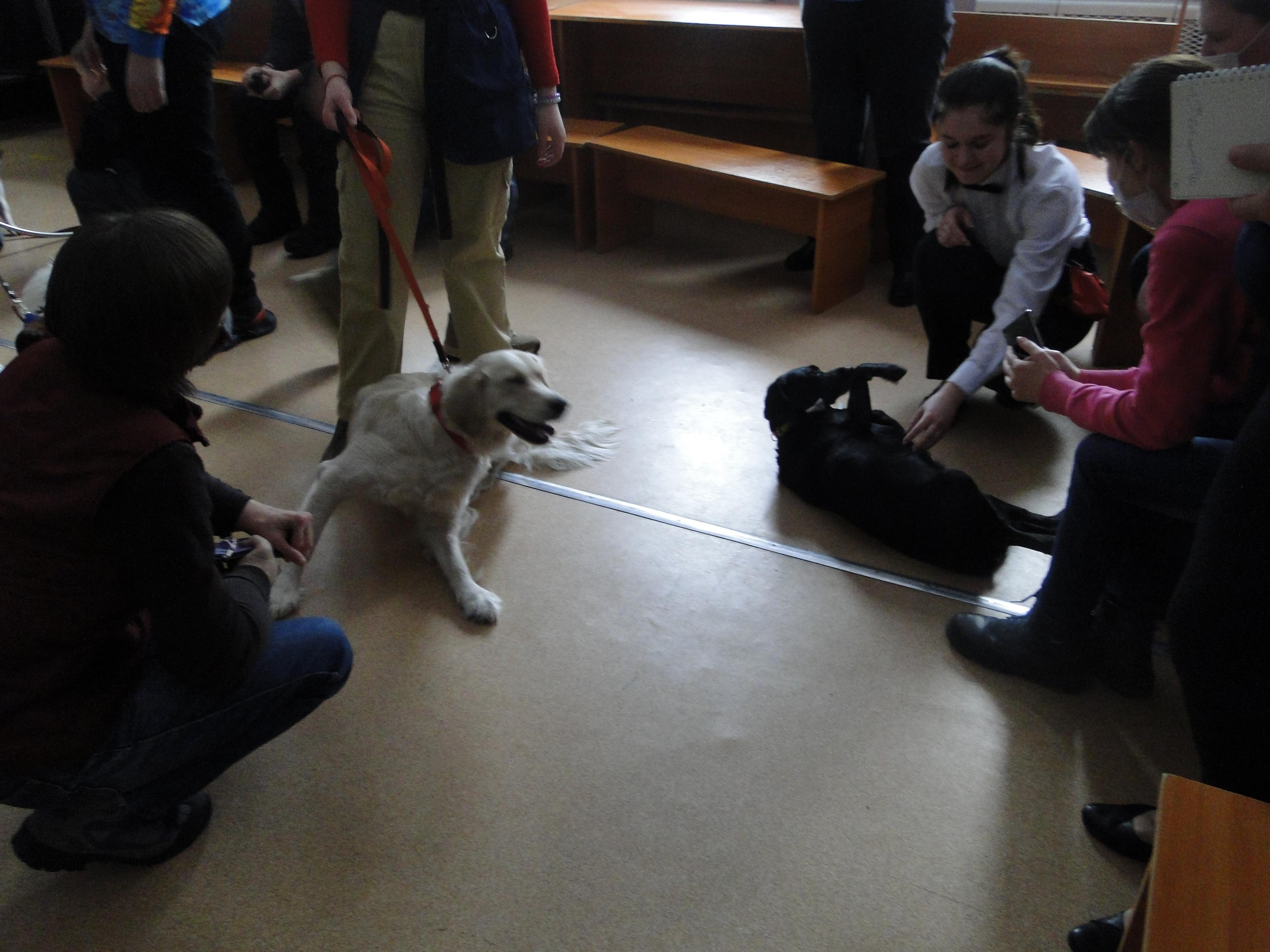 Встреча с воспитанниками Клуба инвалидов «Вера» в Дзержинске. НРОО КЦ "Собаковод"