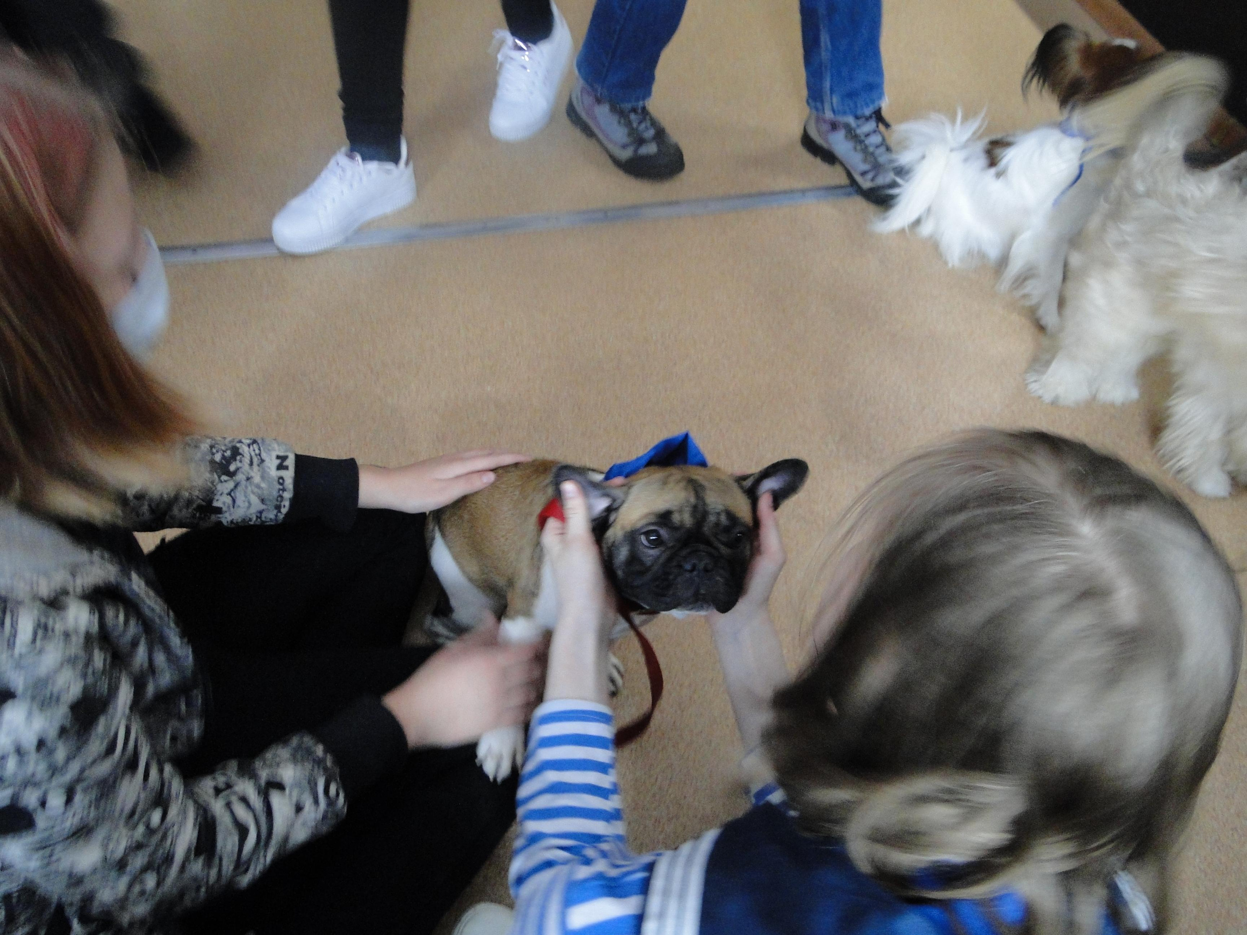 Встреча с воспитанниками Клуба инвалидов «Вера» в Дзержинске. НРОО КЦ "Собаковод"