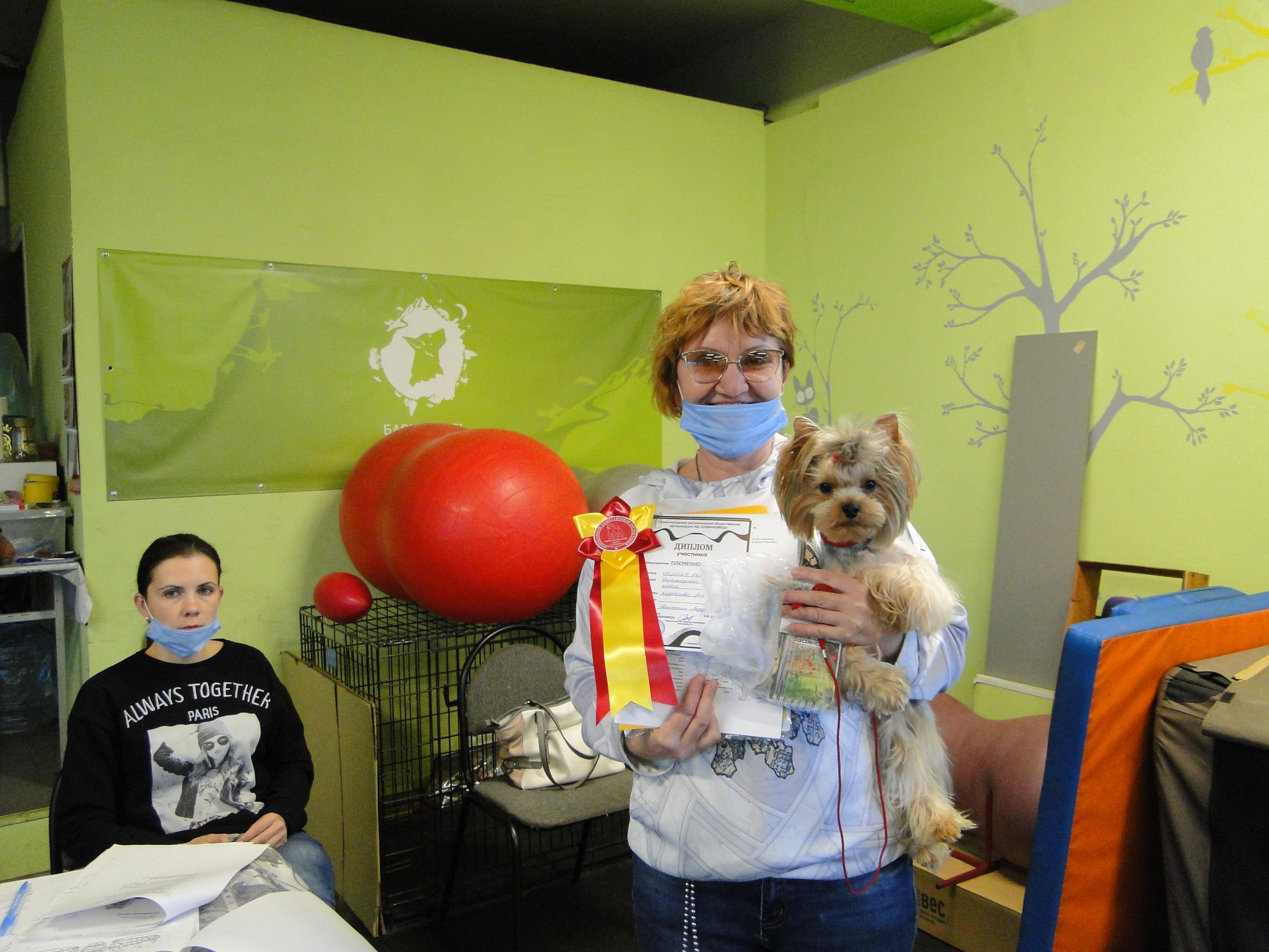 Племенной смотр 17.10.2021 г, судья РКФ/FCI — Анастасия  Лазарева. НРОО КЦ "Собаковод"