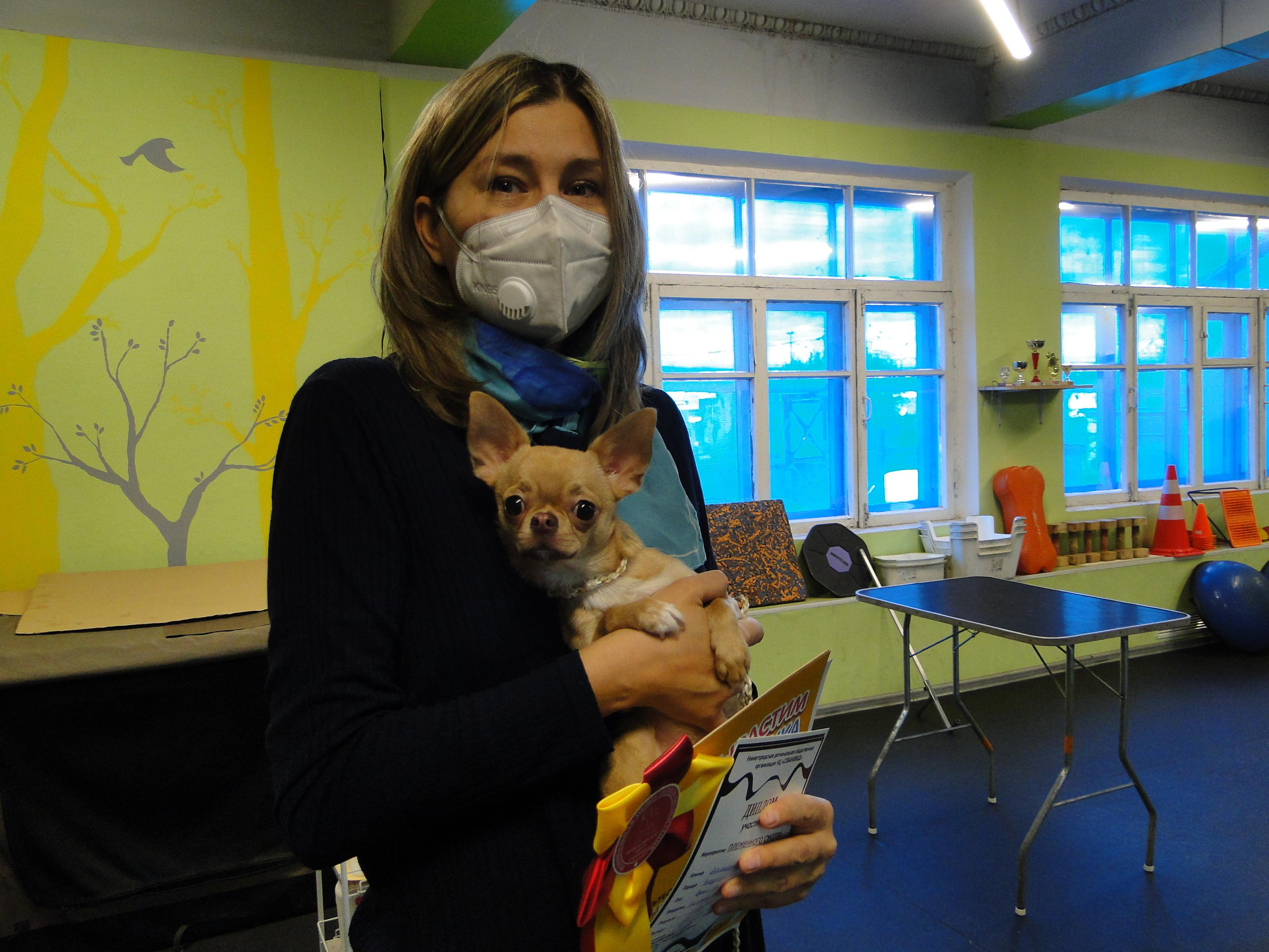 Племенной смотр 17.10.2021 г, судья РКФ/FCI — Анастасия  Лазарева. НРОО КЦ "Собаковод"