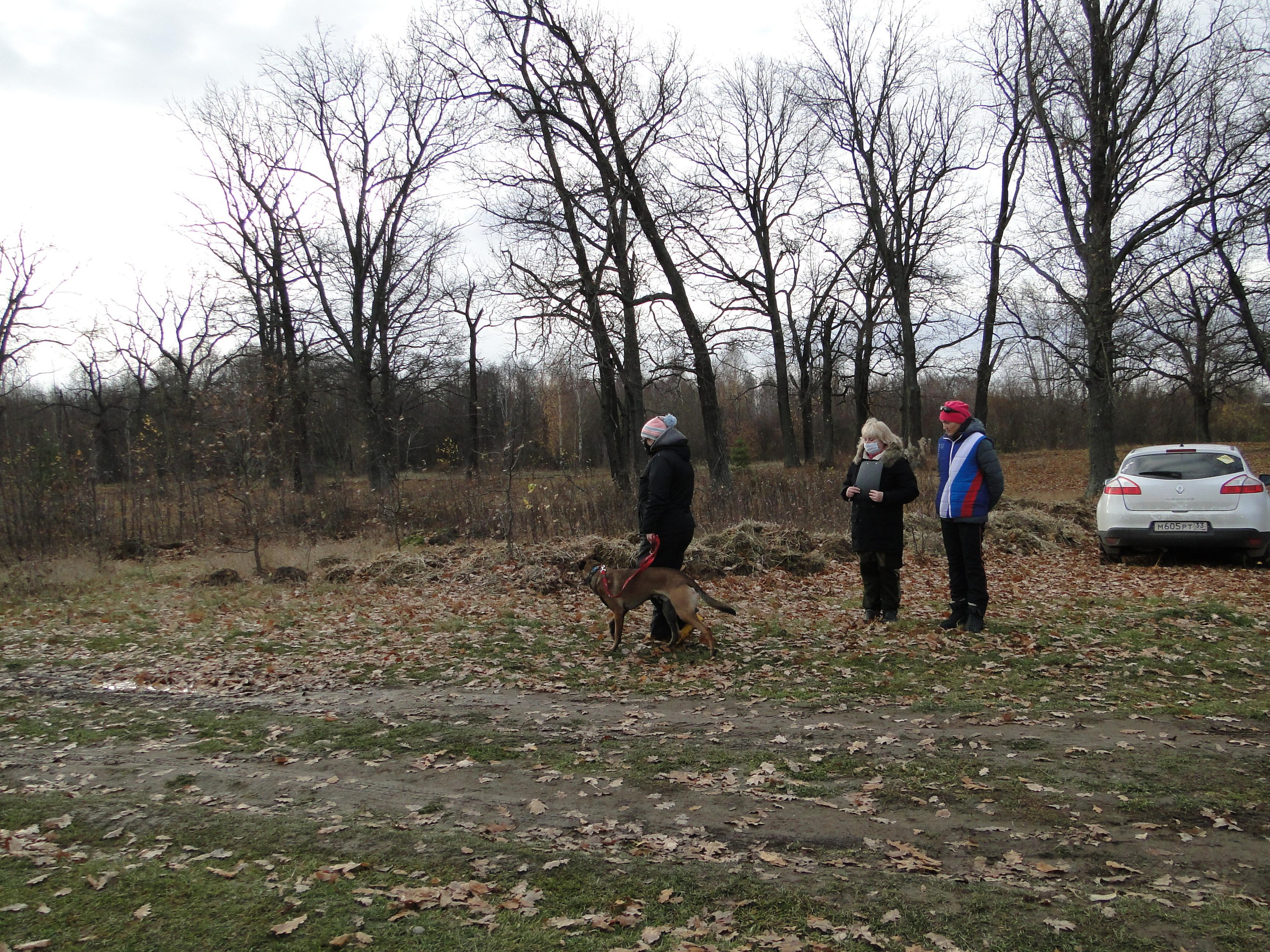 ТЕСТИРОВАНИЕ СОБАК ДЛЯ ДОПУСКА К СОСТЯЗАНИЯМ ПО МОНДЬОРИНГУ. НРОО КЦ "Собаковод"