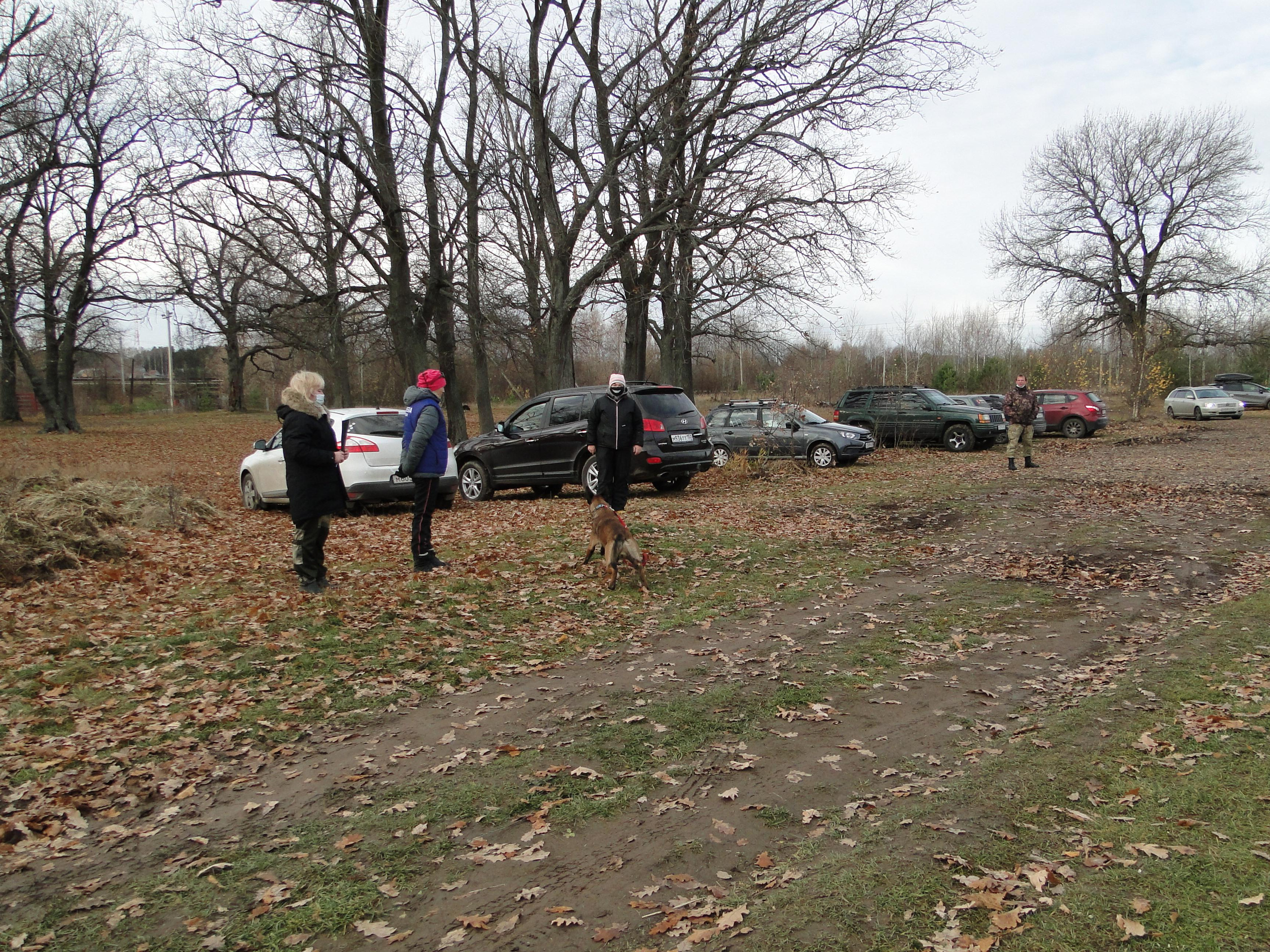 ТЕСТИРОВАНИЕ СОБАК ДЛЯ ДОПУСКА К СОСТЯЗАНИЯМ ПО МОНДЬОРИНГУ. НРОО КЦ "Собаковод"