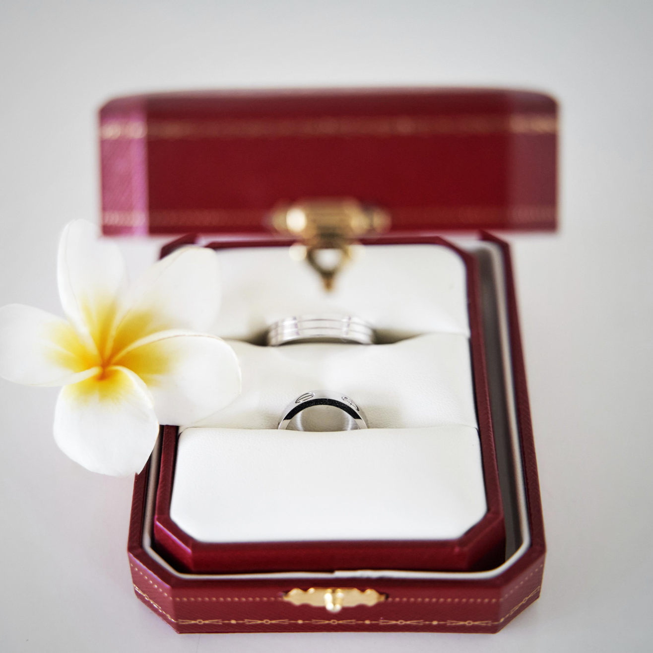 Стоимость видеосъемки на свадьбу в Краснодаре и крае Твинс Студио. Свадебное видео и фото съемка на свадьбу в Краснодаре Твинс Студио