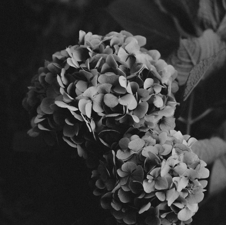 Контакты. Савицкая Катя фотограф во Владивостоке и Южно-Сахалинске