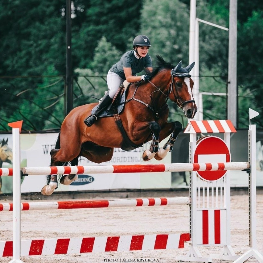 Стоимость. Фотосессии с лошадьми