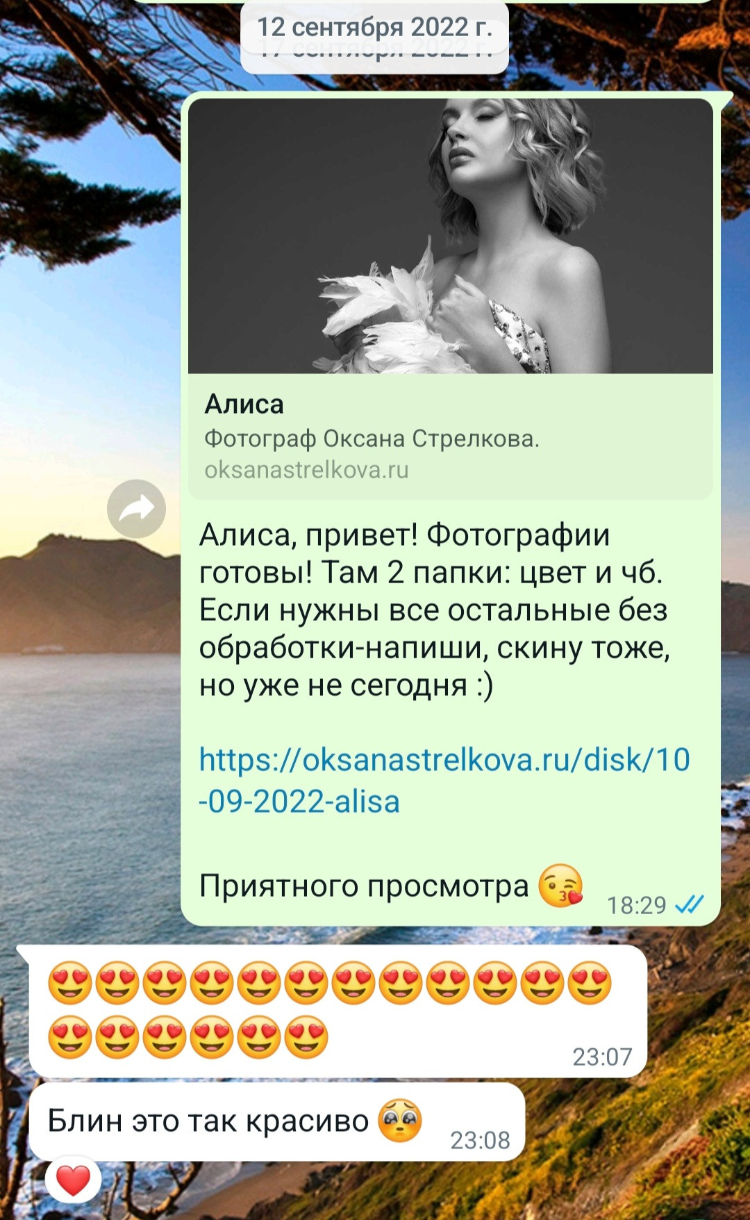 Отзывы из мессенджеров