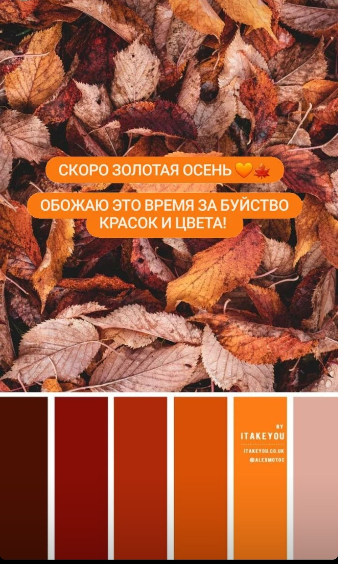 Осень. Рекомендации. Фотосессия в Петергофе — фотограф Юлия Корчак