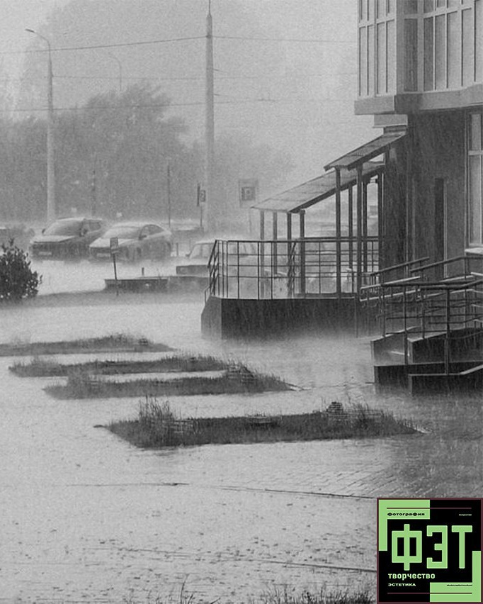 Альбом 25.01.26 в рамках ФЭТ