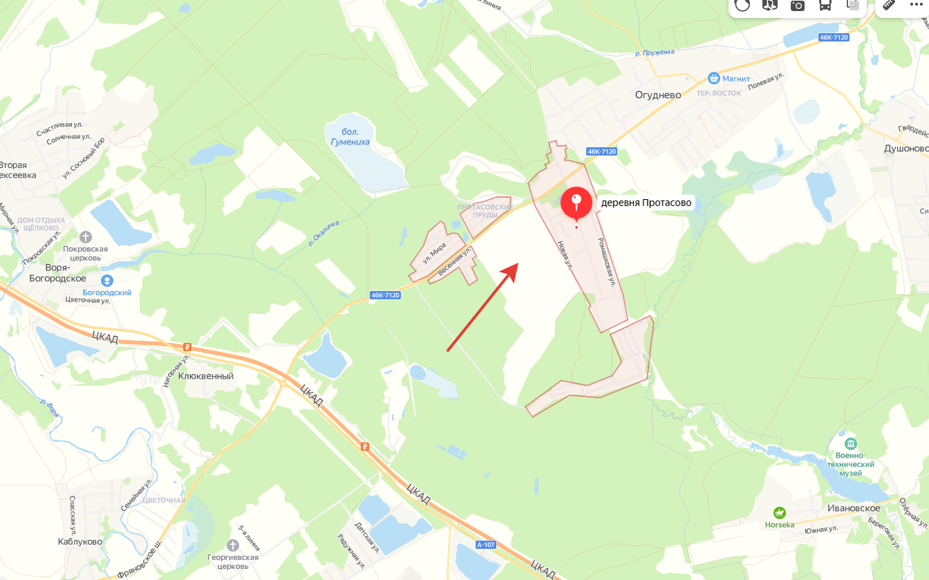 Что и где цветёт в Щёлково. Свадебный и семейный фотограф Виктория Носачёва. Щелково, Москва и МО