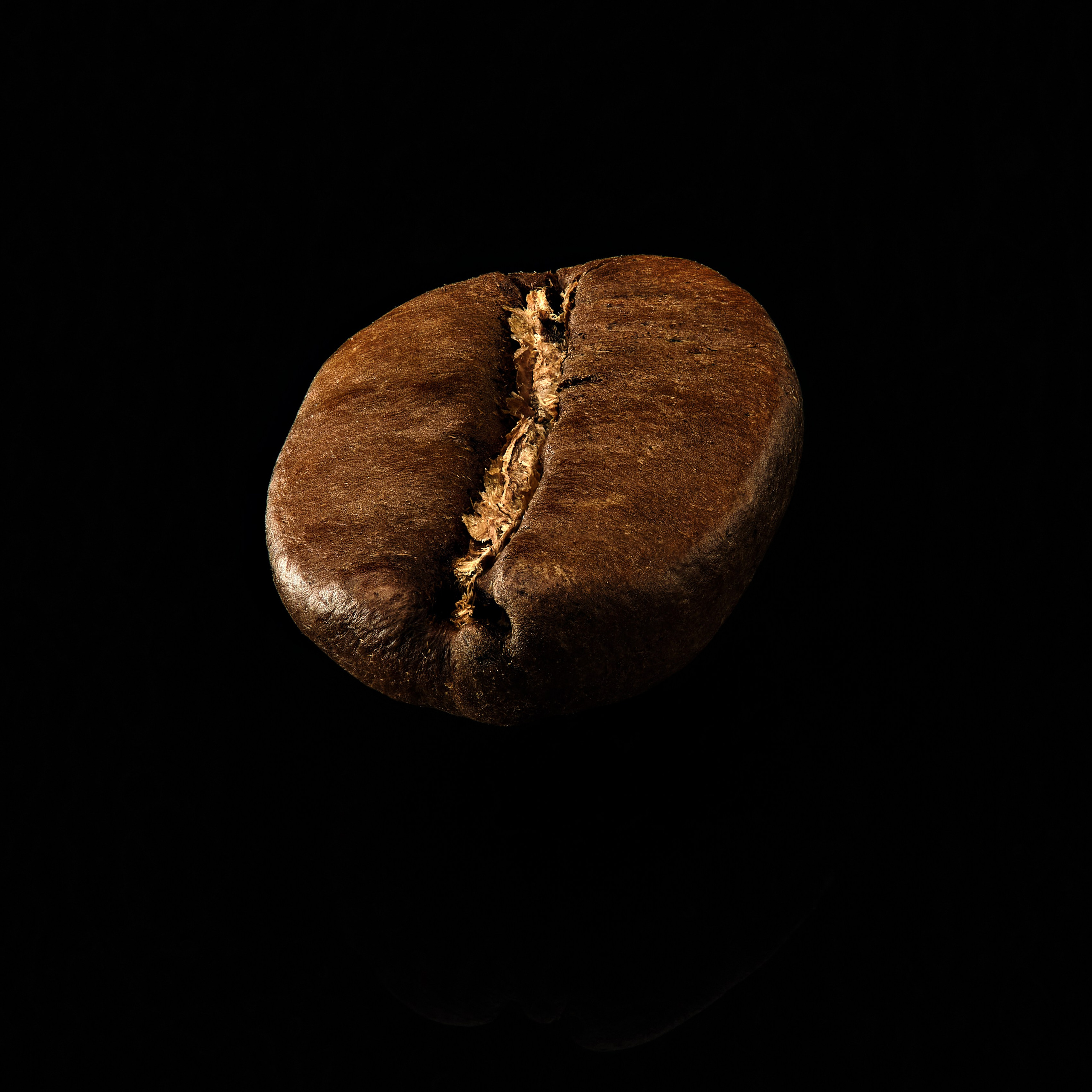 Крупный план кофейного зерна на тёмном фоне, авторская предметная фотография