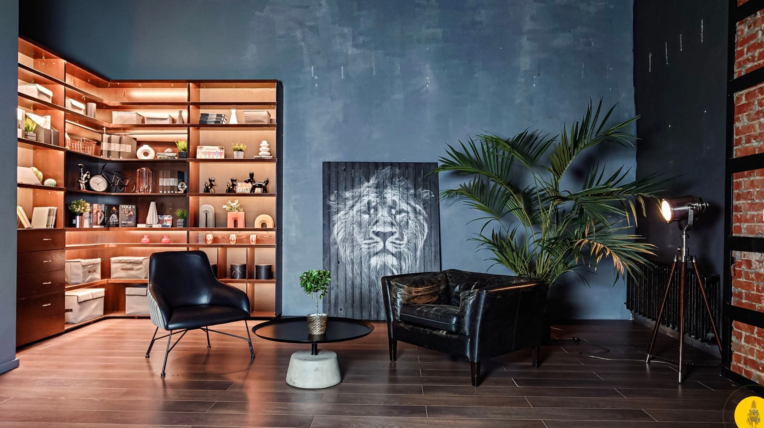 Подборка Студий