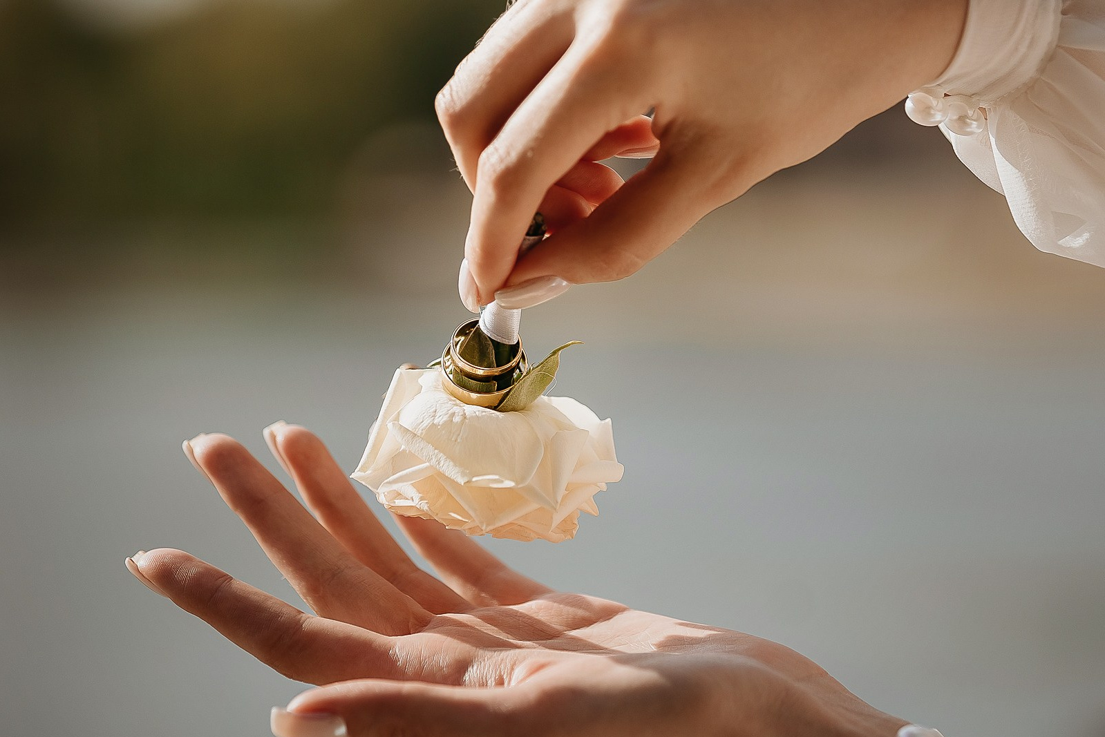 Свадьбы. Семейный и свадебный фотограф в Москве Леванова Александра