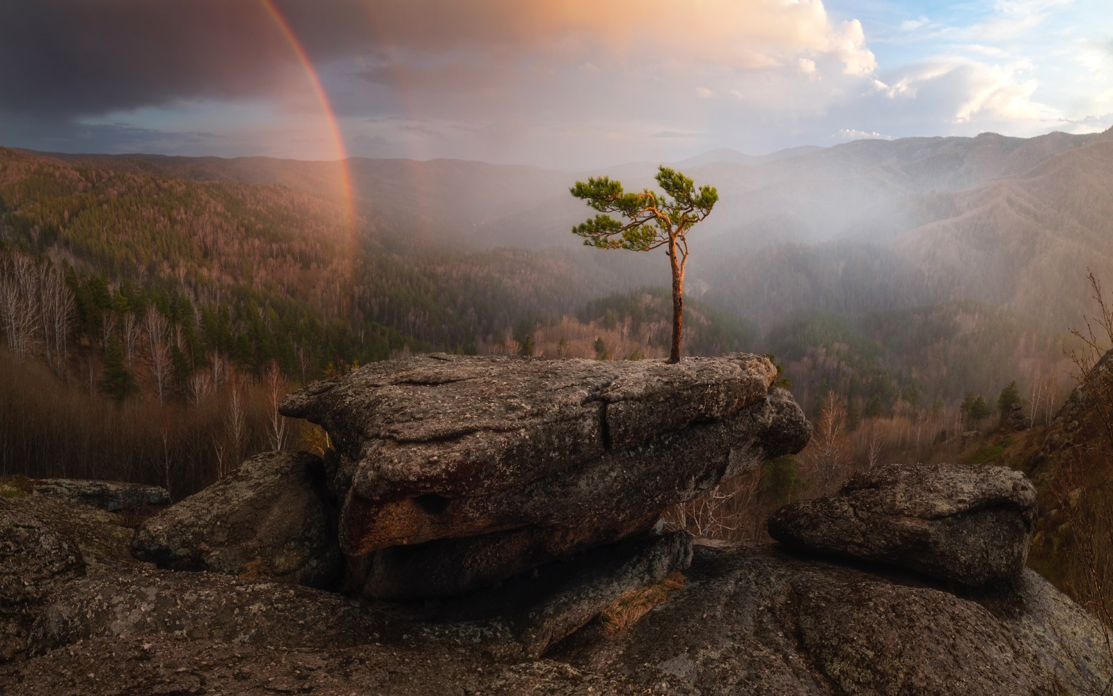 Победа в Nature Photo Awards. Профессиональный пейзажный фотограф Алёна Рубан