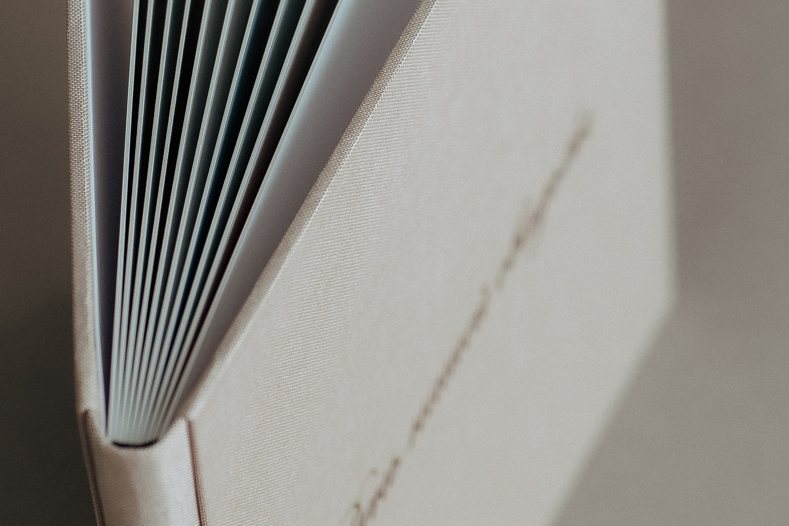 БФ (плотные листы). Семейный и детский фотограф в Омск Пугачева Елена