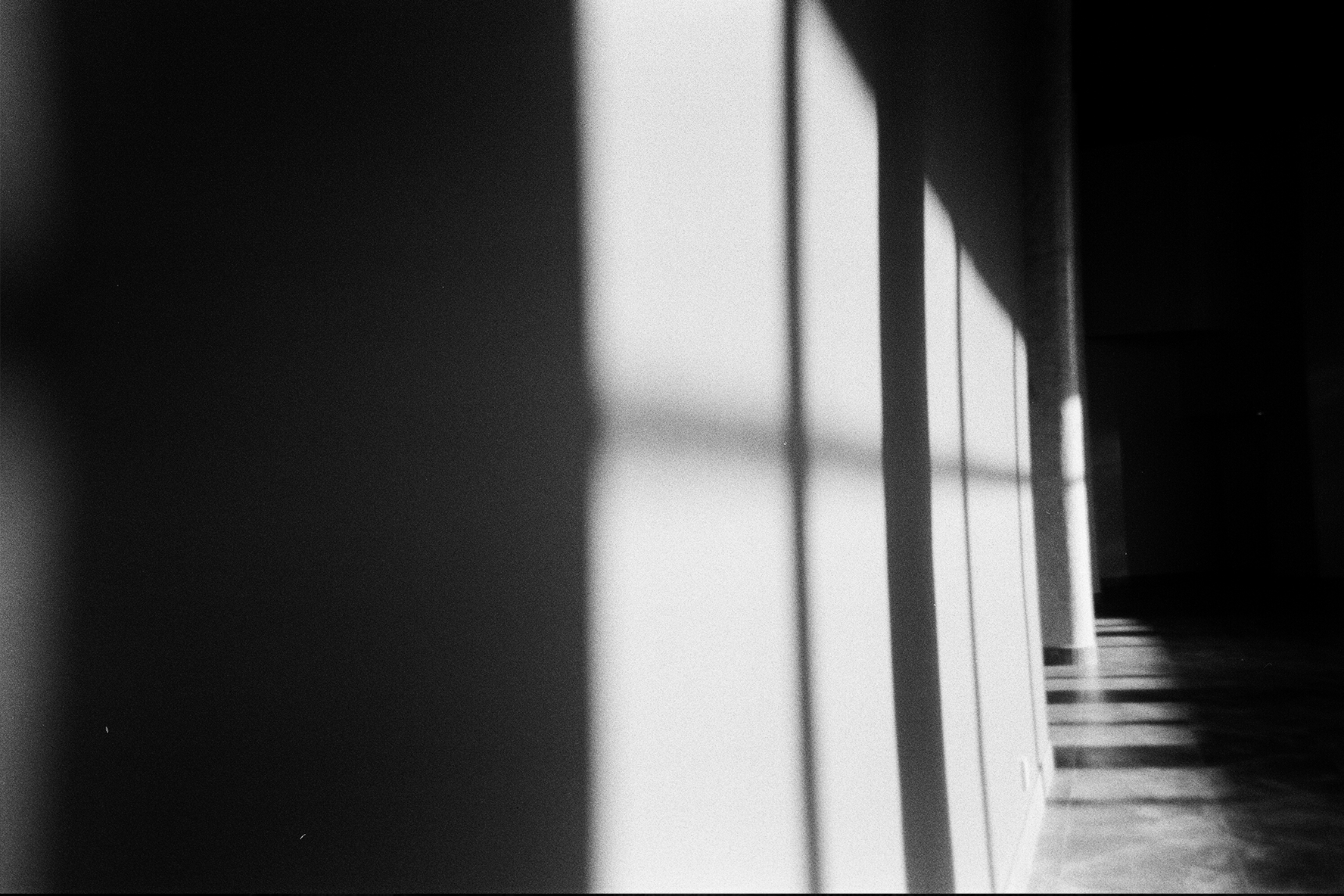 Хвоя и спирт