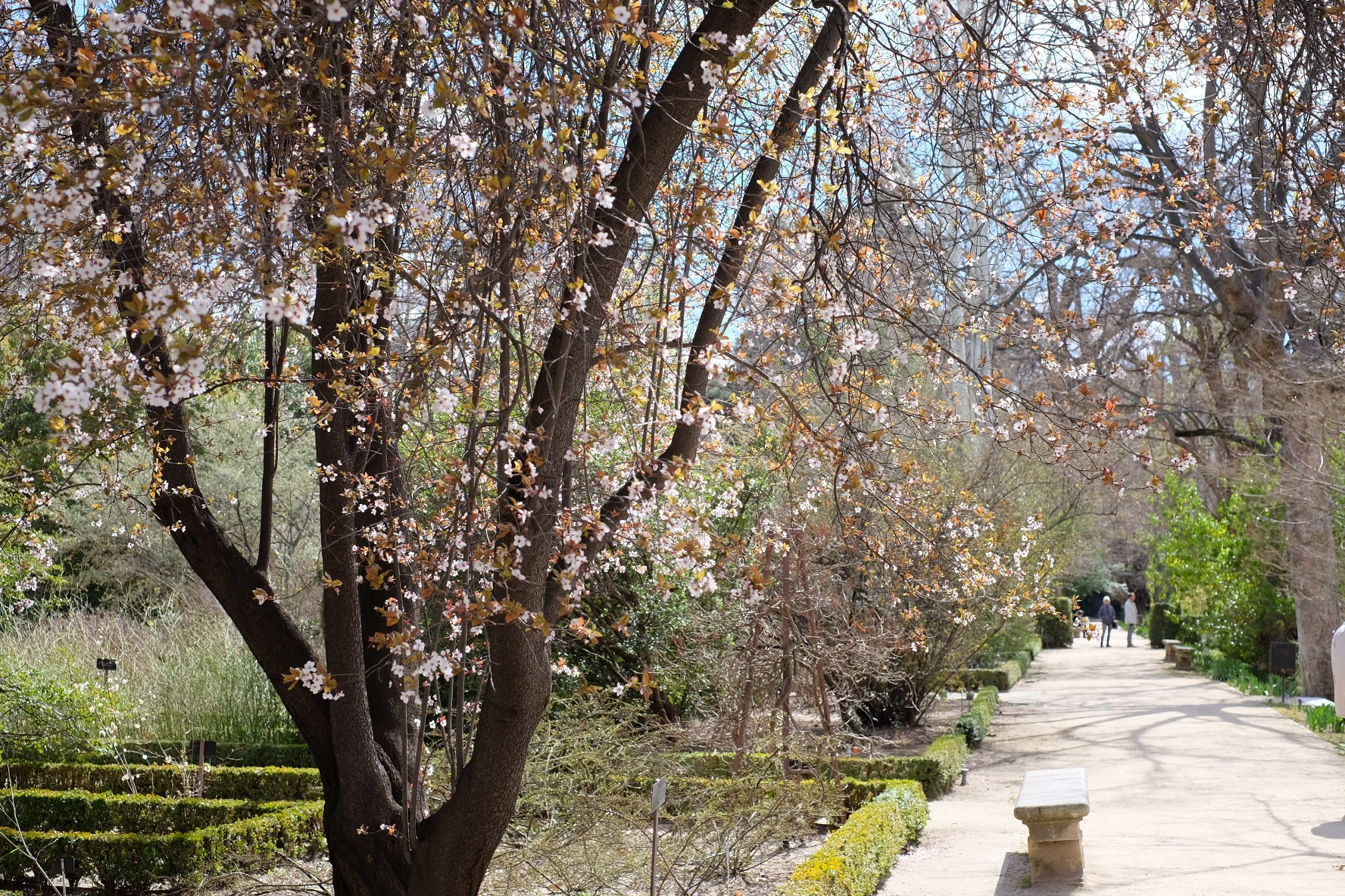 Философия весны. OLGA OLEYNIKOVA Пространство, люди, смыслы