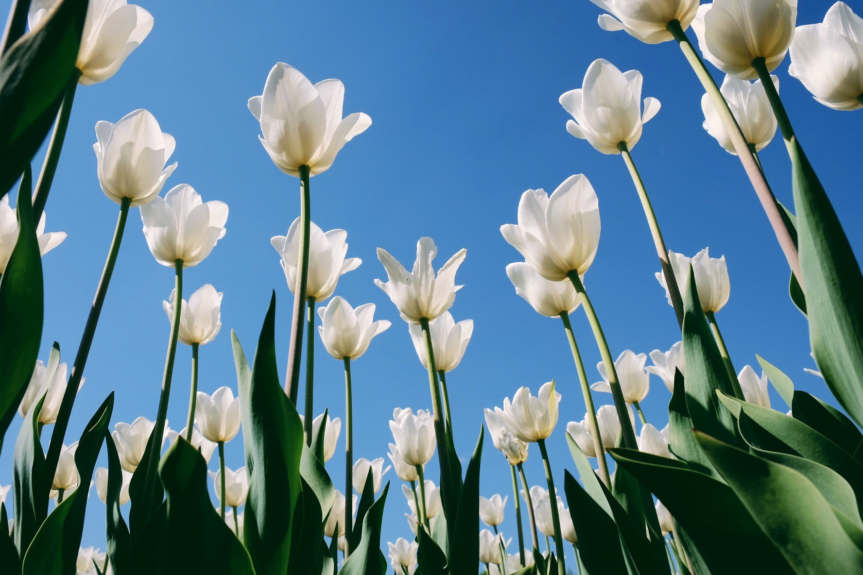 Меняем ракурс. OLGA OLEYNIKOVA Пространство, люди, смыслы