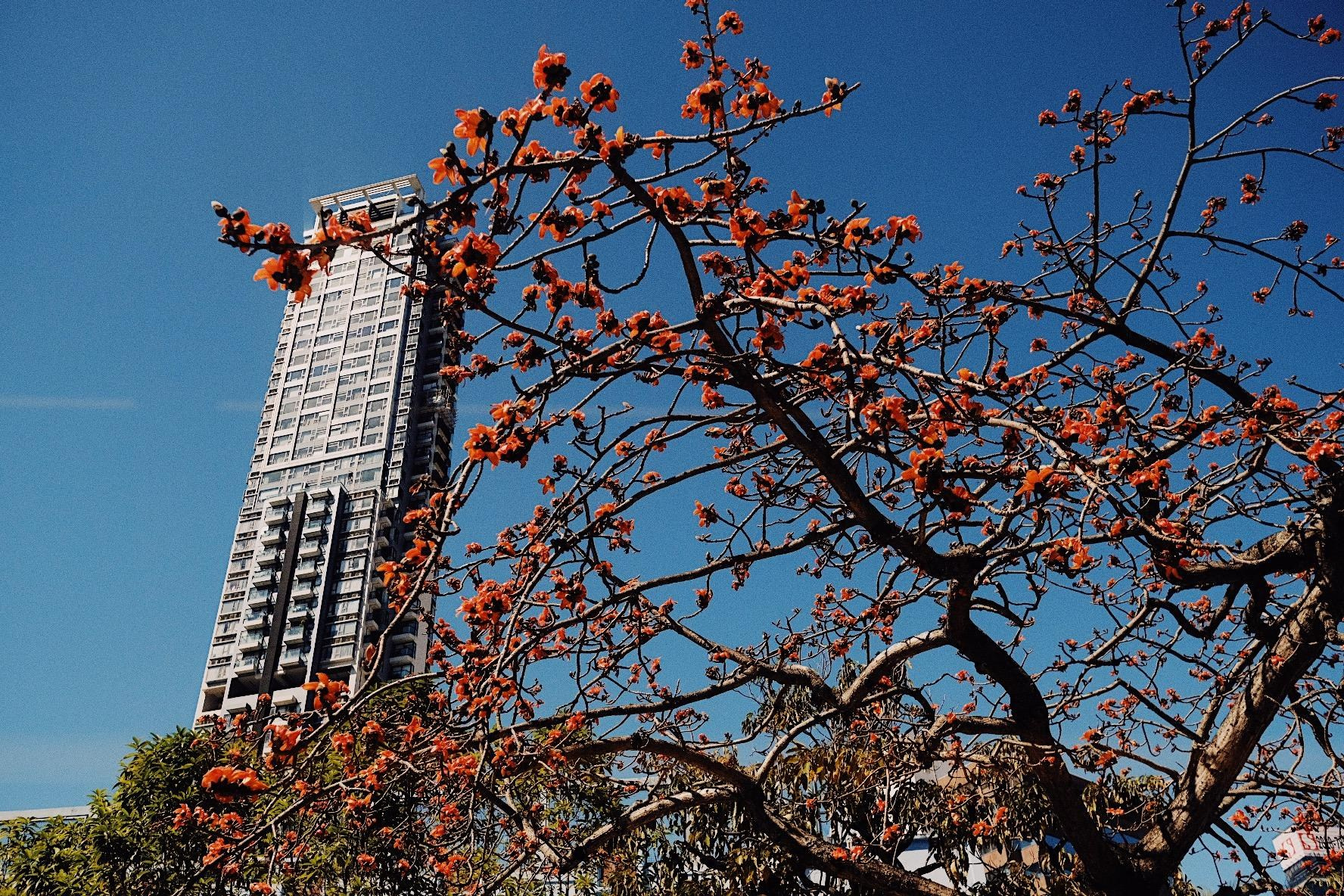 Спортивный и бизнес фотограф Арсений Голышкин