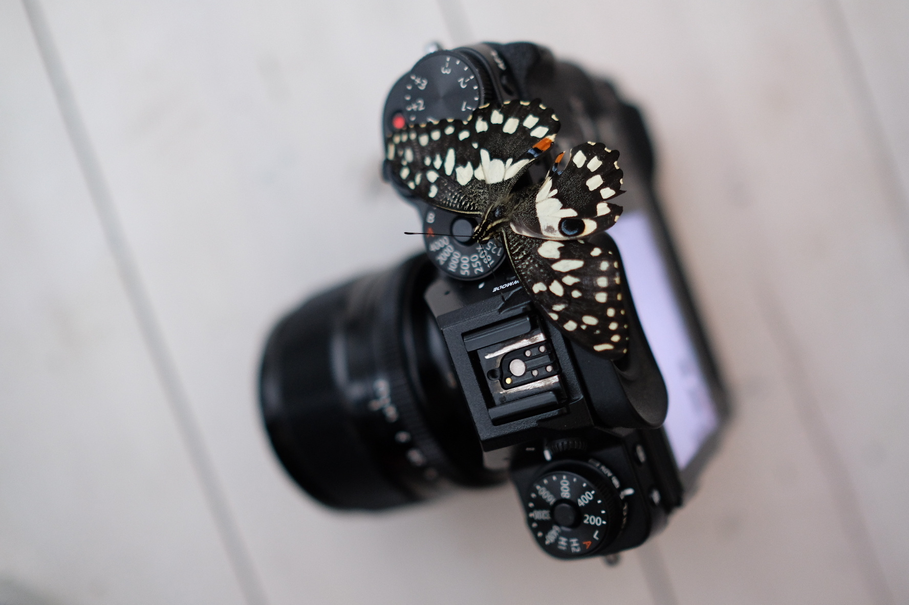 Дресс-код фотографа. Свадебный и семейный фотограф Москва, Звенигород, Одинцово, Можайск,