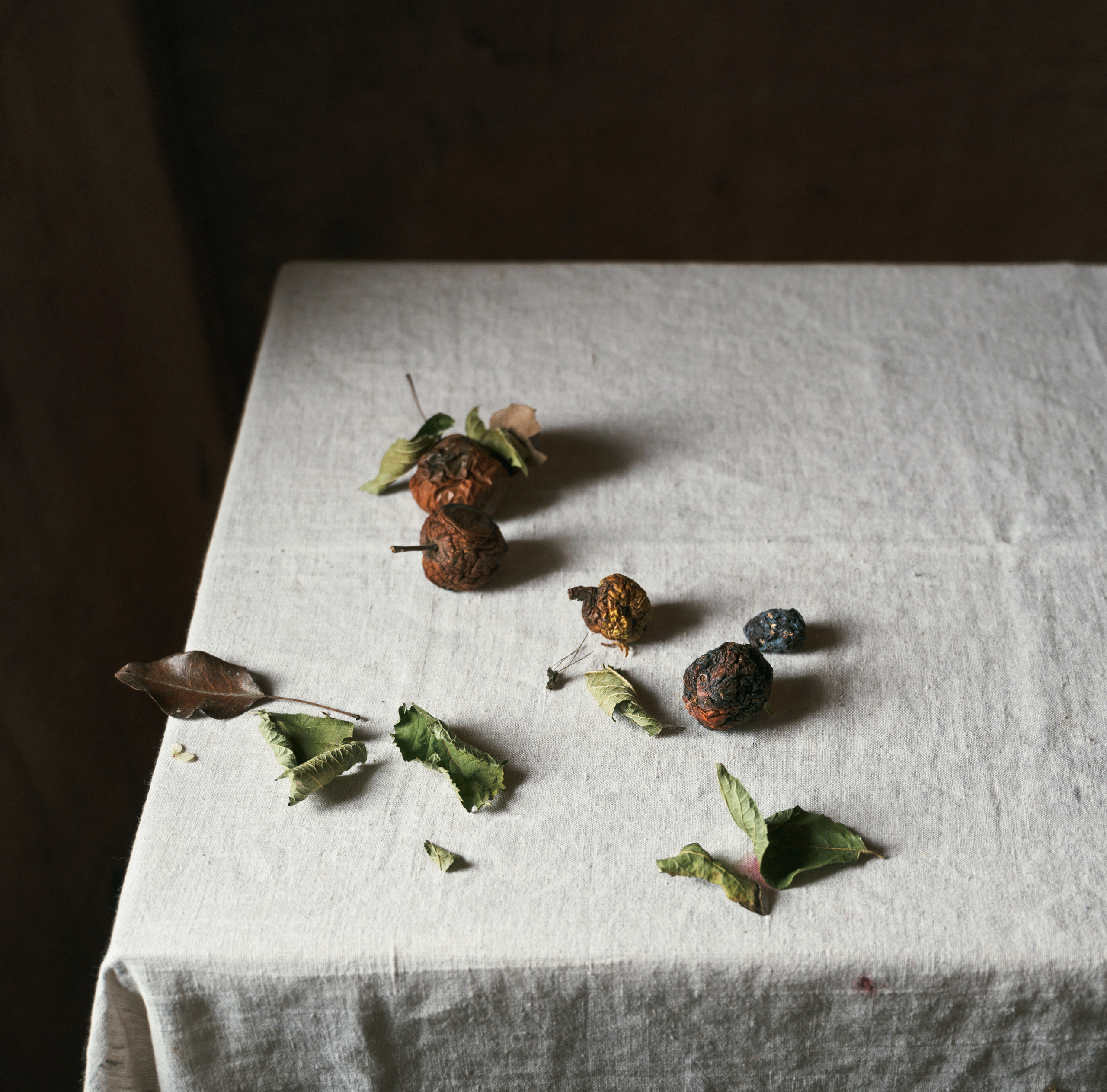 Зимнее дачное. Фотограф Елена Хазина, Рязань