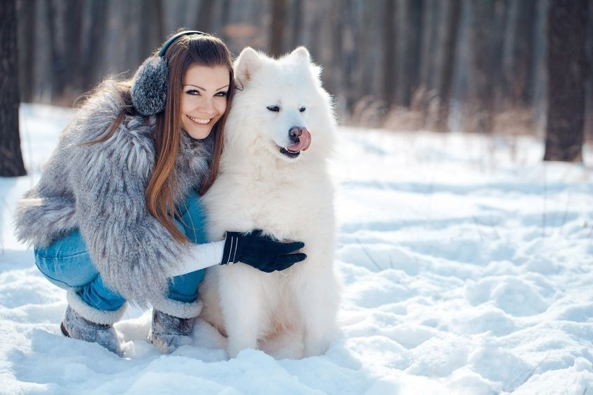 Фотопроект с хаски (архив)