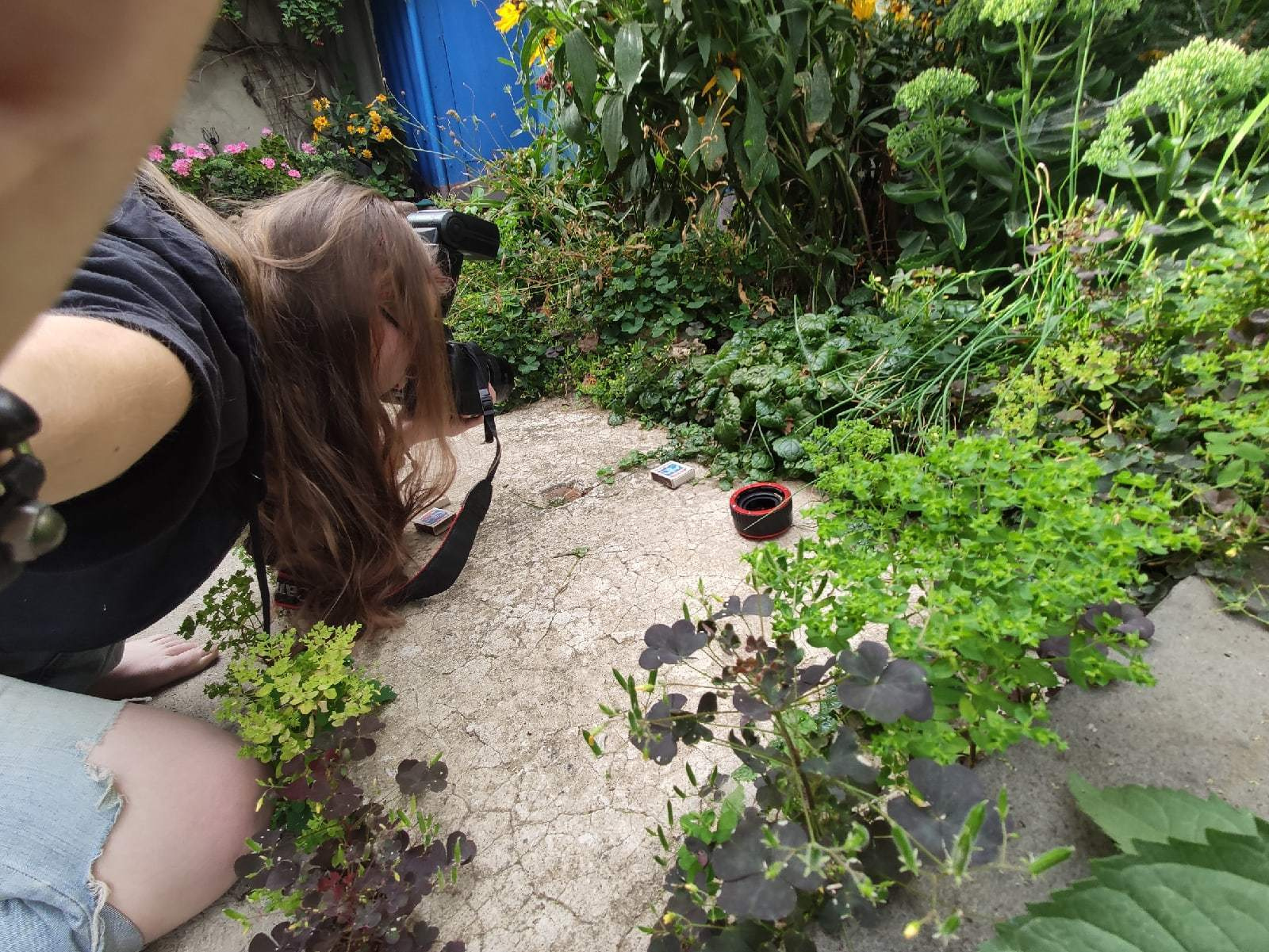 Макро съемка. Как снимать. Фотограф Тамара Нижельская Воронеж