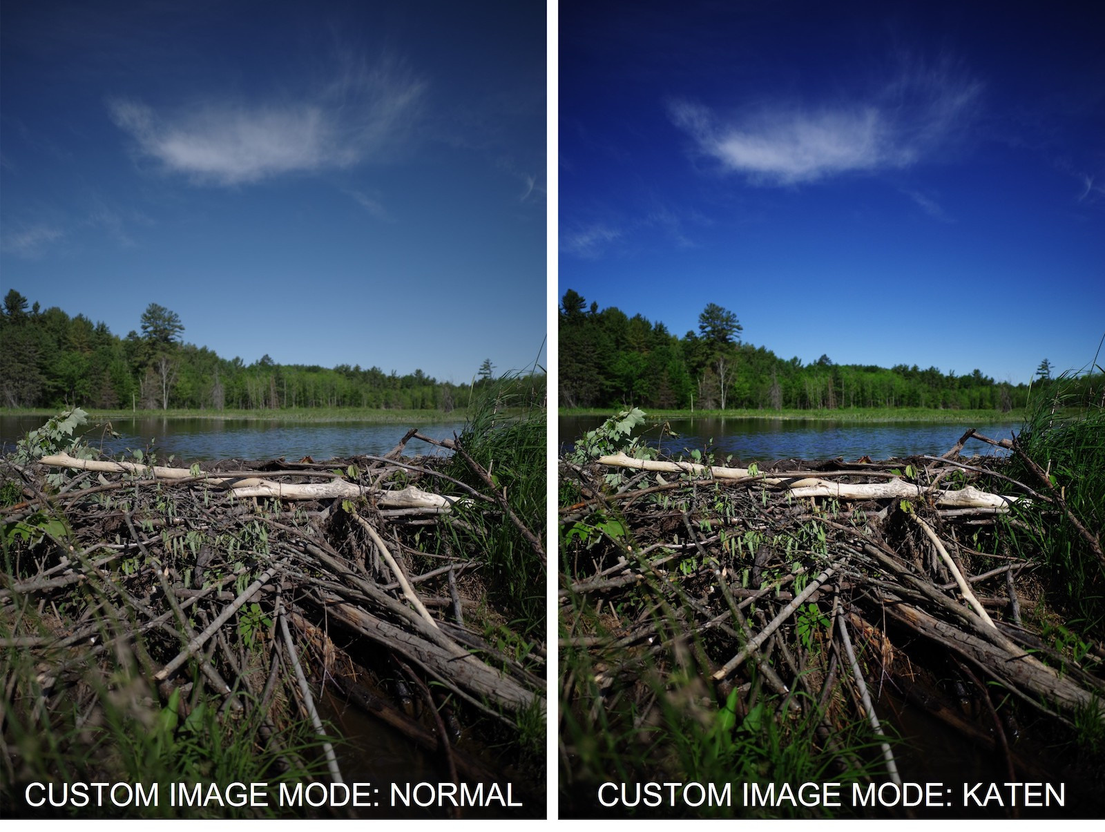 PENTAX Выпустил четвертое специальное издание HARUBENI. Фотограф — видеограф в Москве Дмитрий Менделеев