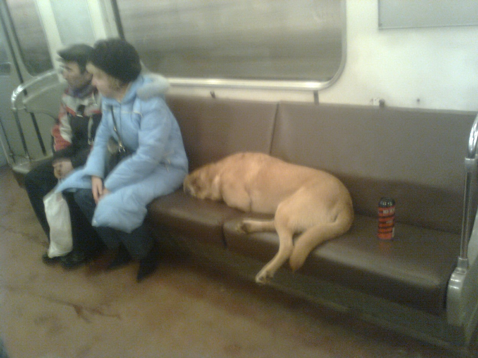 Питерское метро. Художник. Фотограф