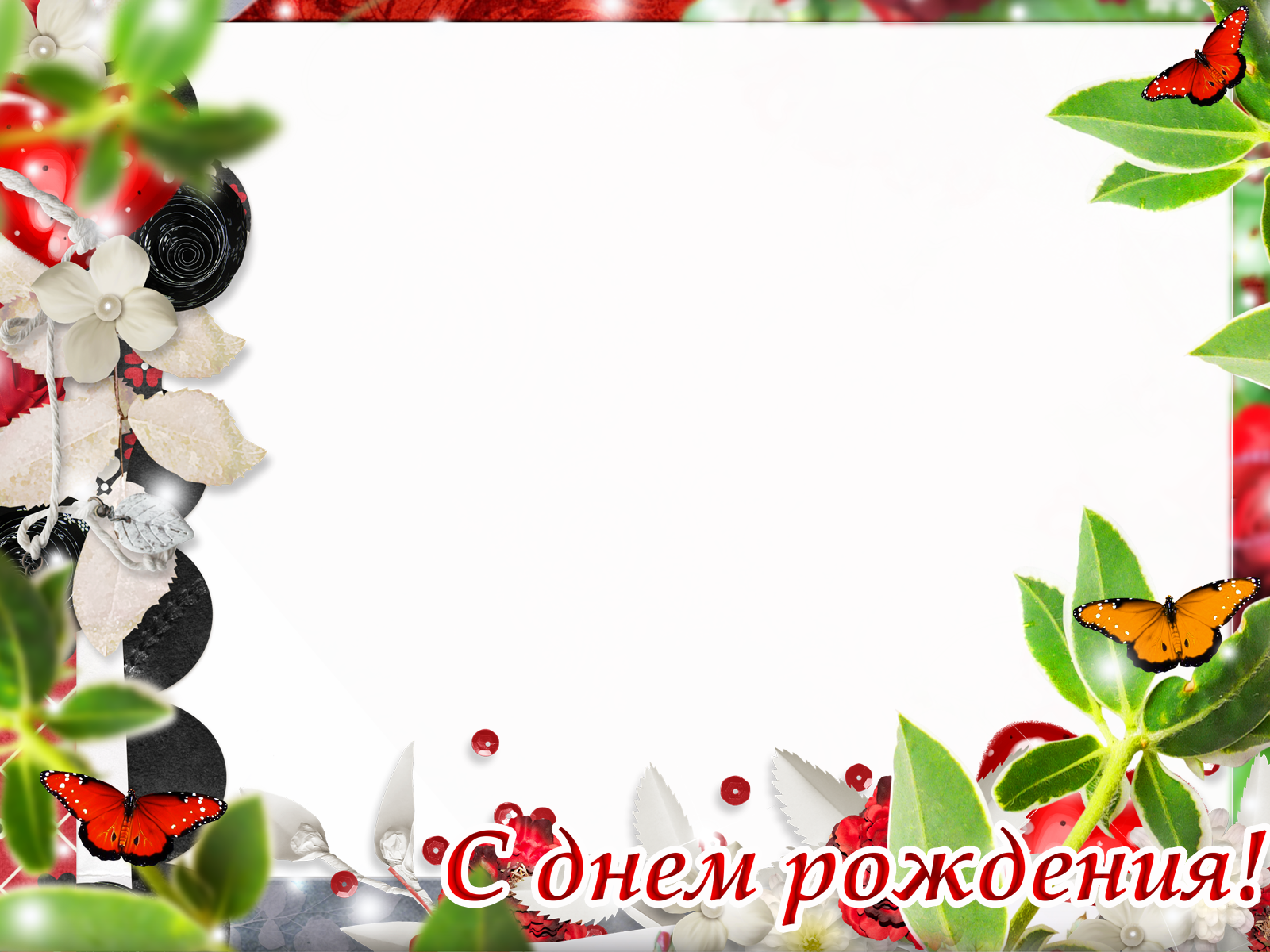 Фото товар. AISA Foto