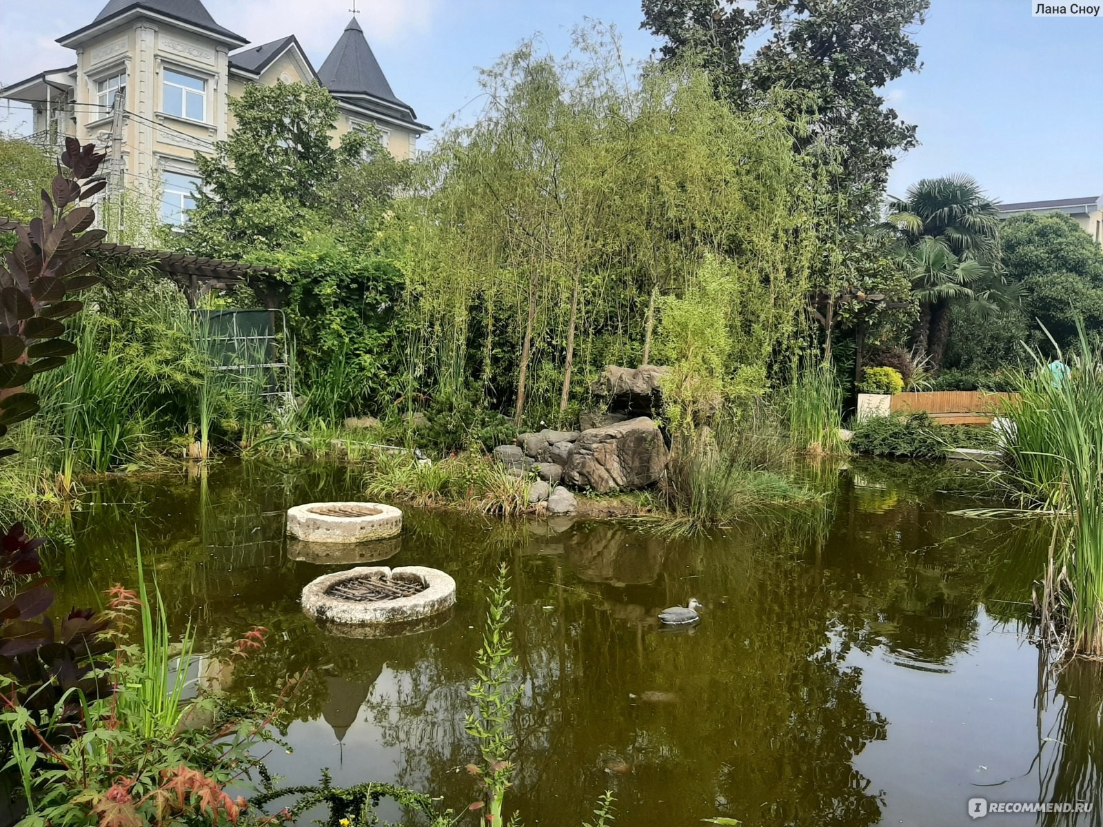 Топ 5 небанальных локаций для фотосессий в Сочи. Фотограф Сочи Кисматова Анастасия