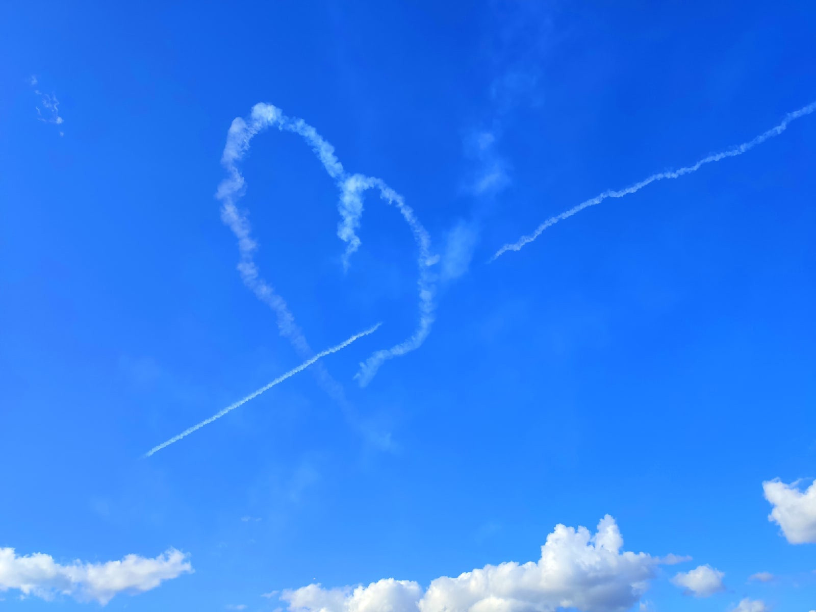 Фестиваль воздушных шаров. Фотограф Тамара Нижельская Воронеж