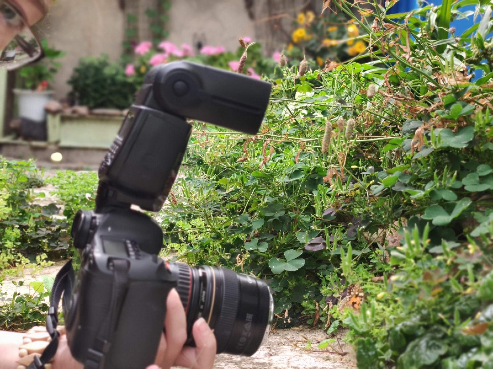 Макро съемка. Как снимать. Фотограф Тамара Нижельская Воронеж