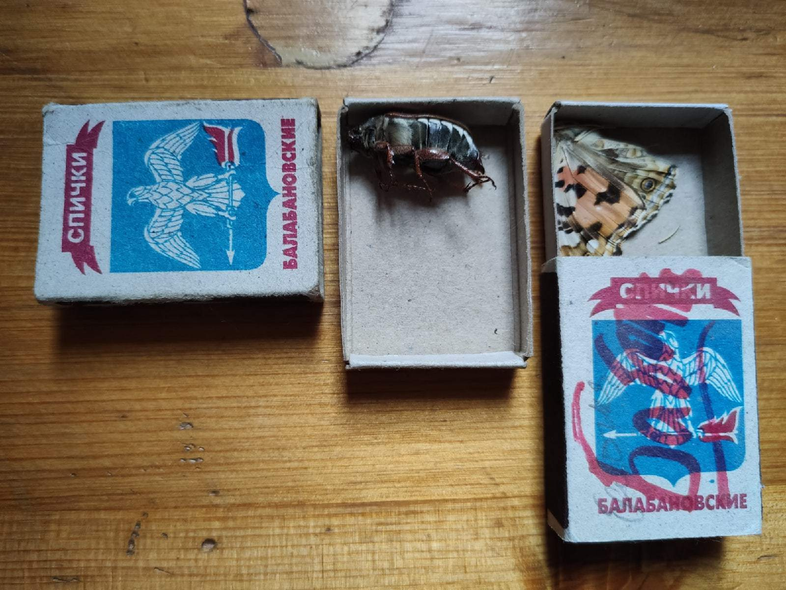 Макро съемка. Как снимать. Фотограф Тамара Нижельская Воронеж