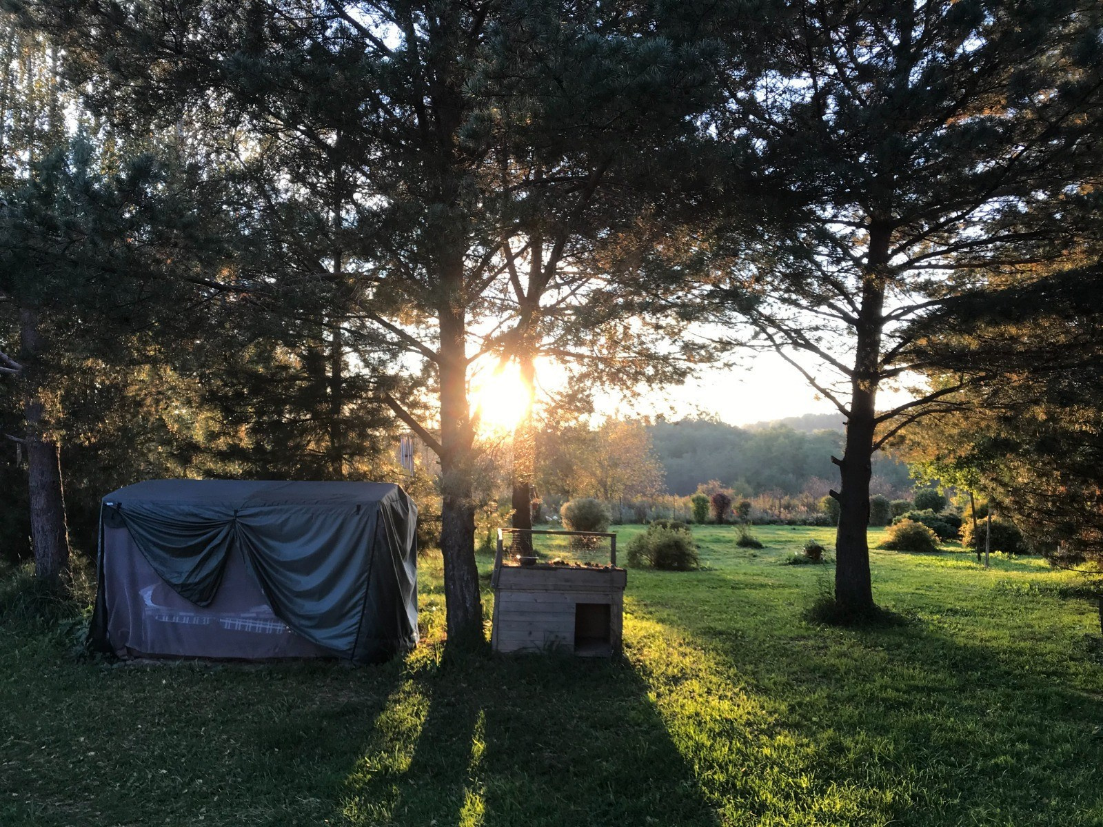 Экоферма Подмосковья. Эко отдых в Подмосковье в эко-отеле Марии Гиппенрейтер