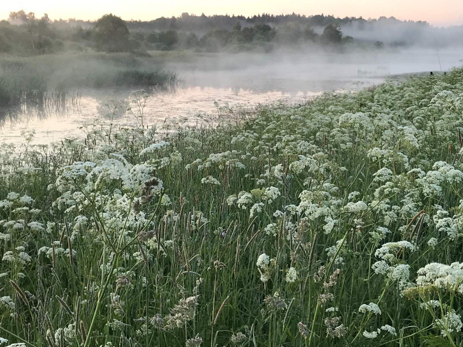 Эко отдых в Подмосковье. Эко отдых в Подмосковье в эко-отеле Марии Гиппенрейтер