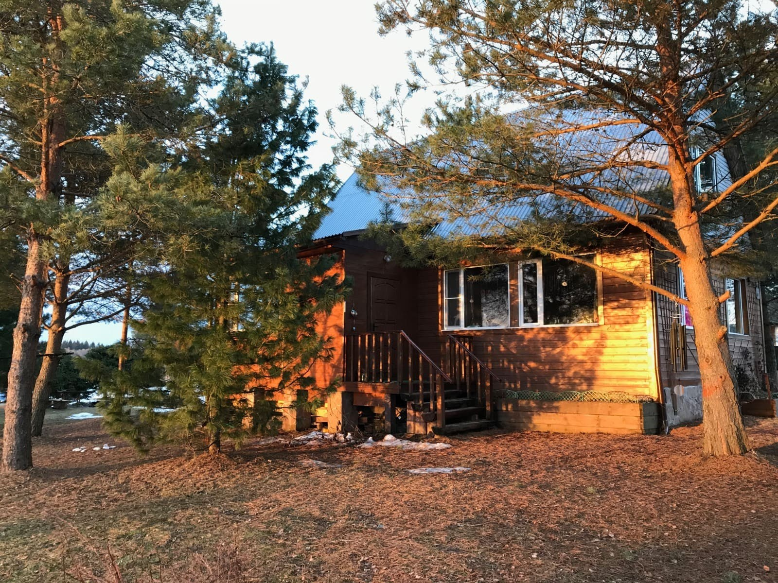 Эко-отель в Подмосковье. Эко отдых в Подмосковье в эко-отеле Марии Гиппенрейтер