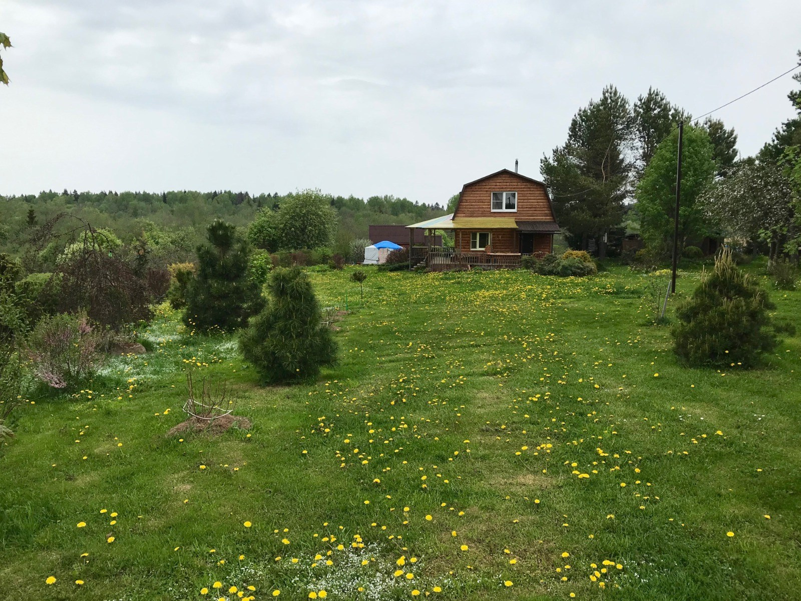 Отдых на ферме в Подмосковье. Эко отдых в Подмосковье в эко-отеле Марии Гиппенрейтер