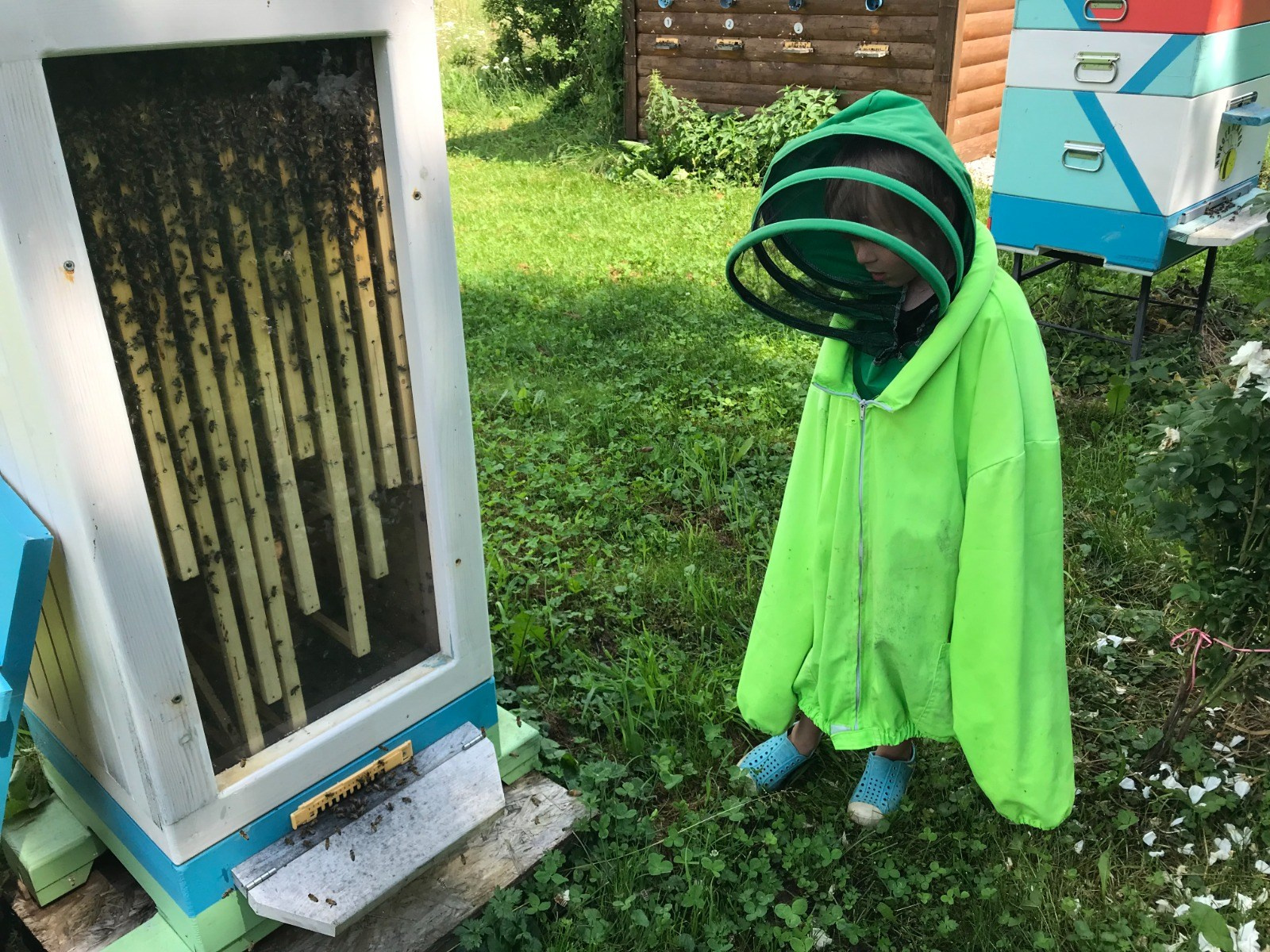 Дочка с внуками на экоферме. Эко отдых в Подмосковье в эко-отеле Марии Гиппенрейтер